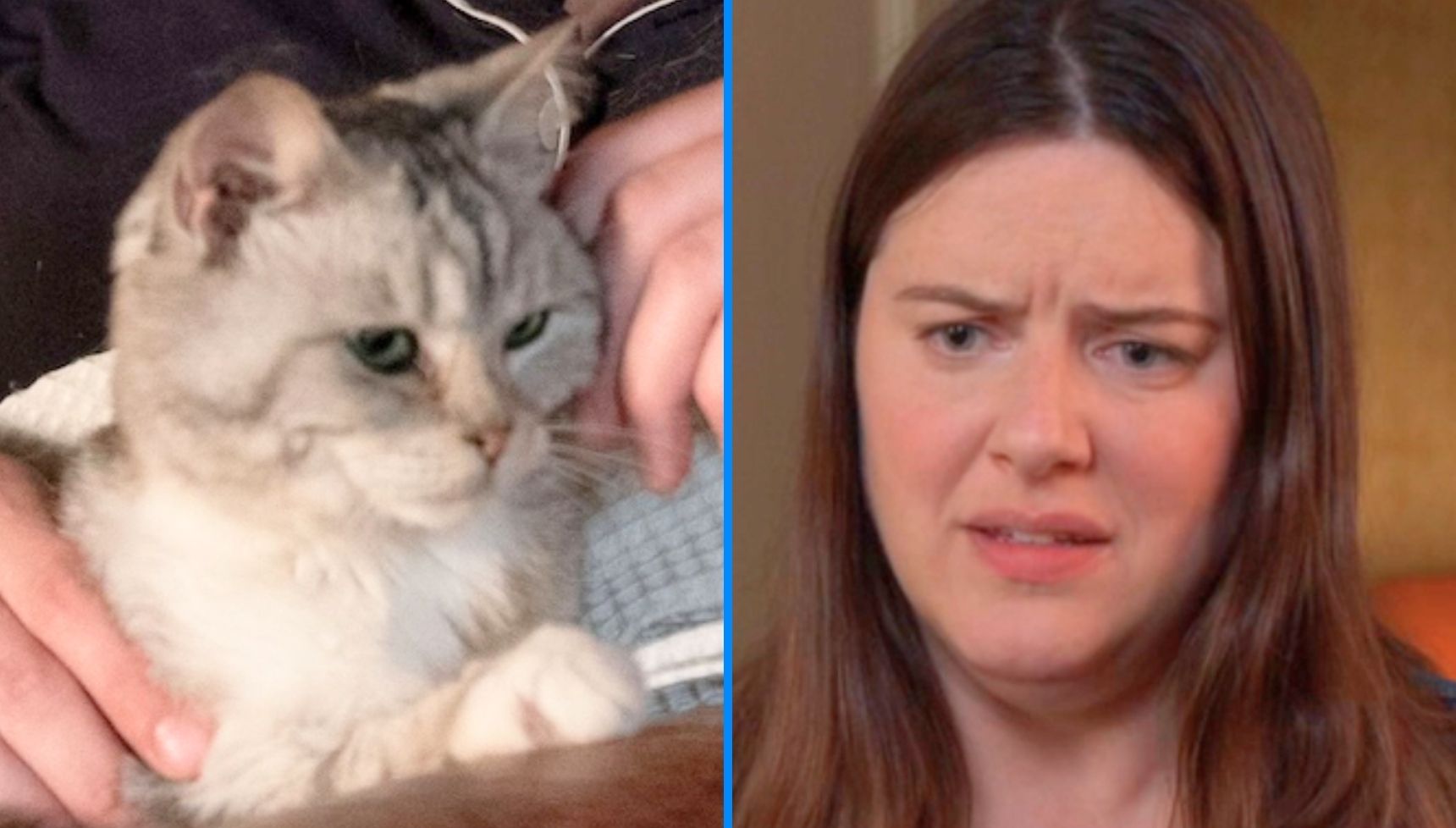 Exclusive: Who's taken Zoe's cat? We called her tormentor's number to find out