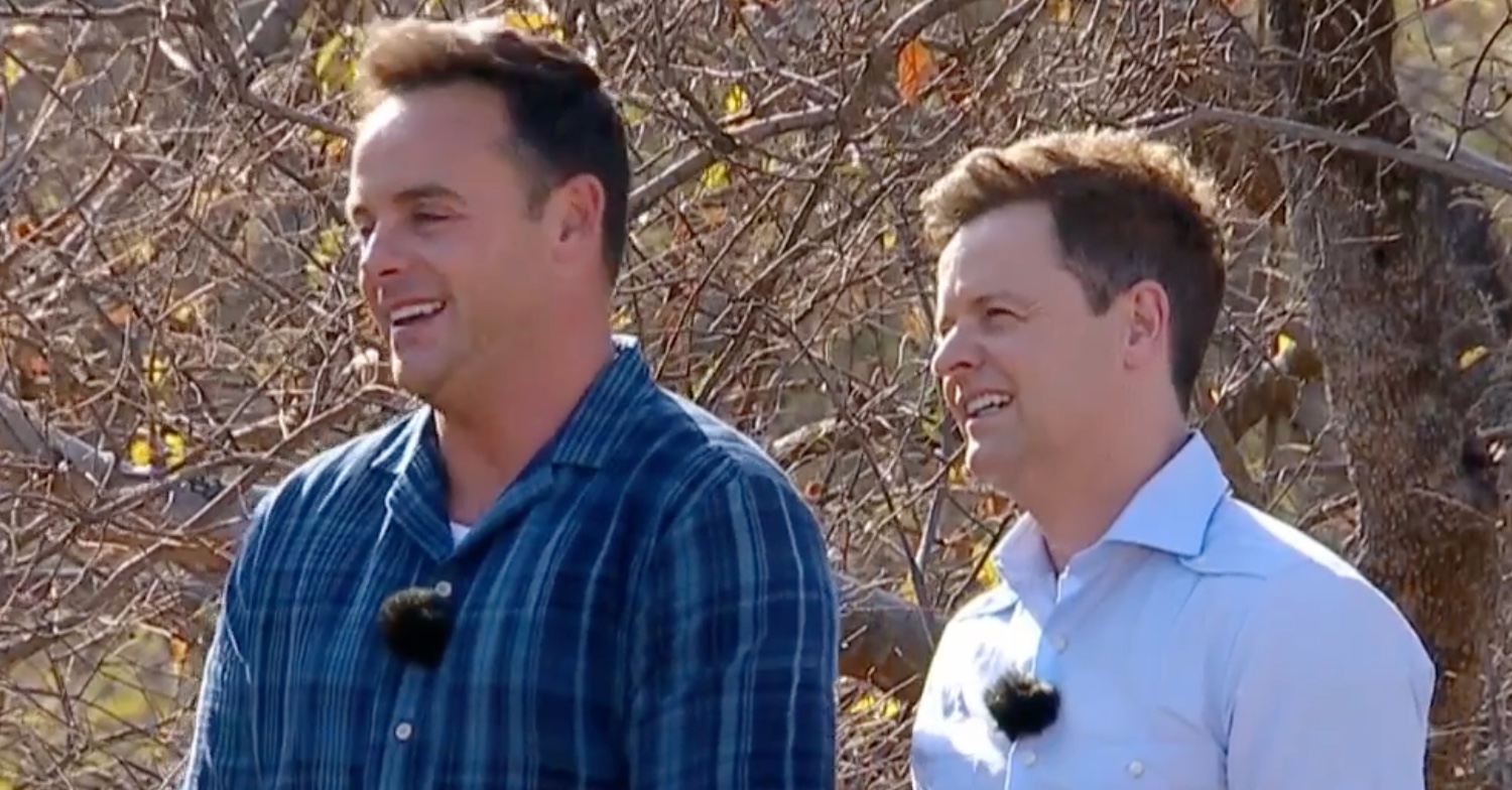 Ant and Dec I'm A Celebrity South Africa