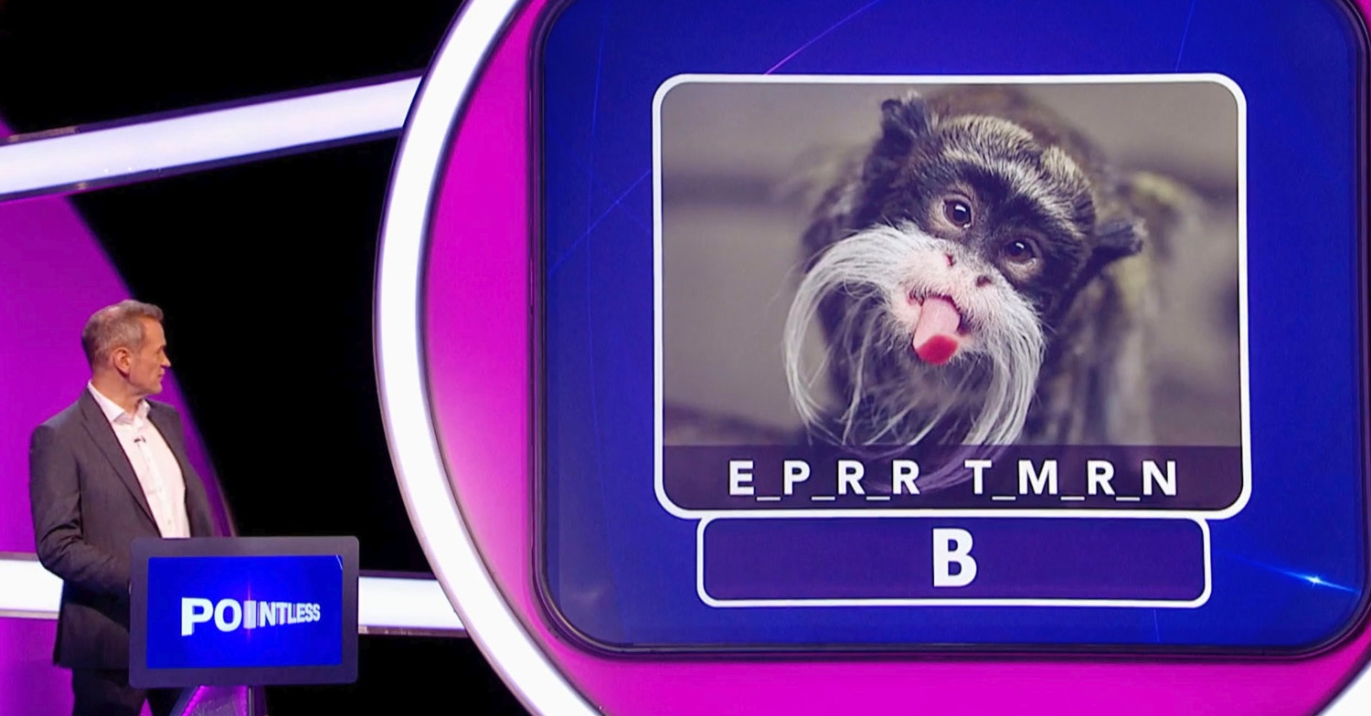 Pointless, BBC
