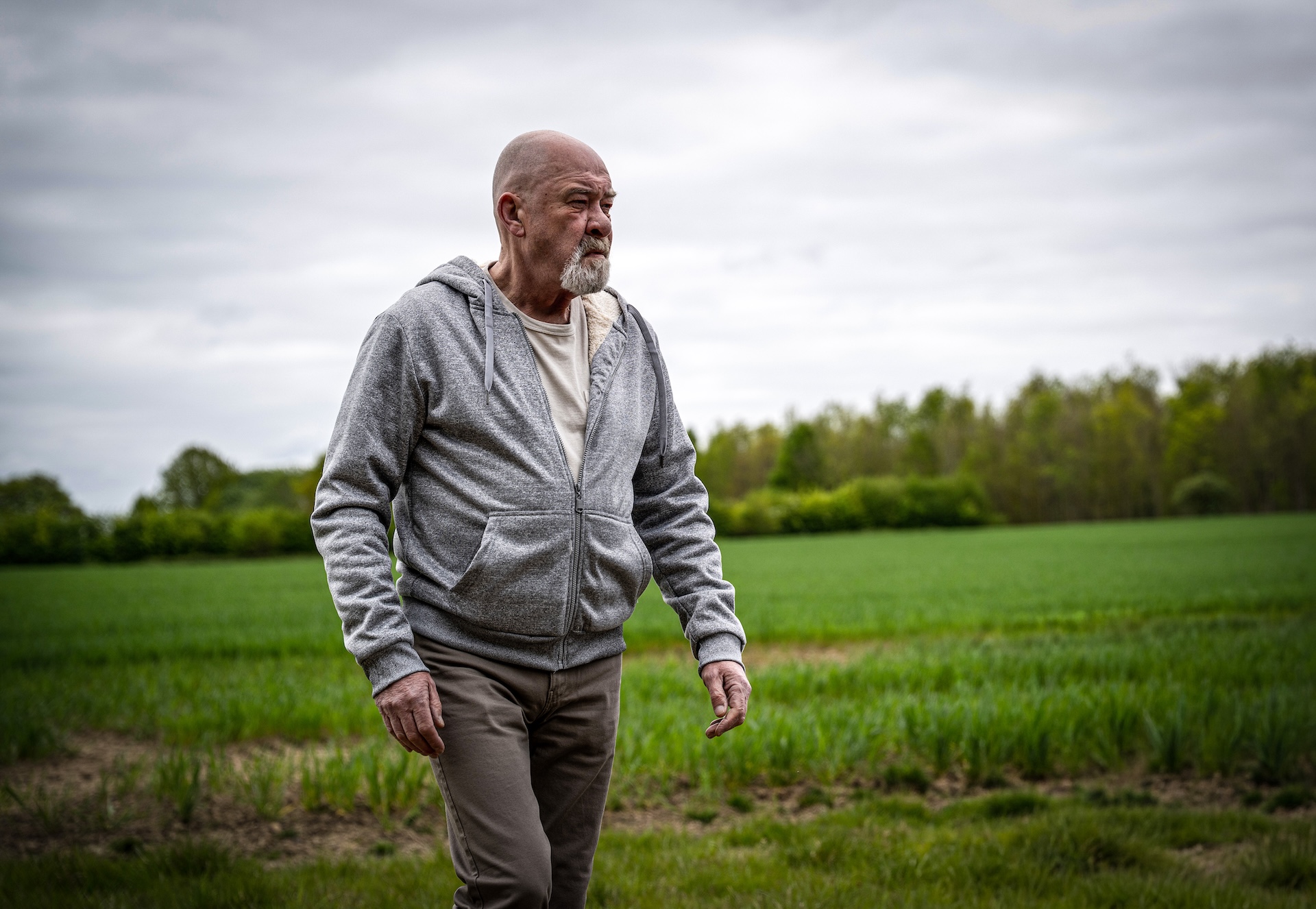 Bear walking in a field in Emmerdale