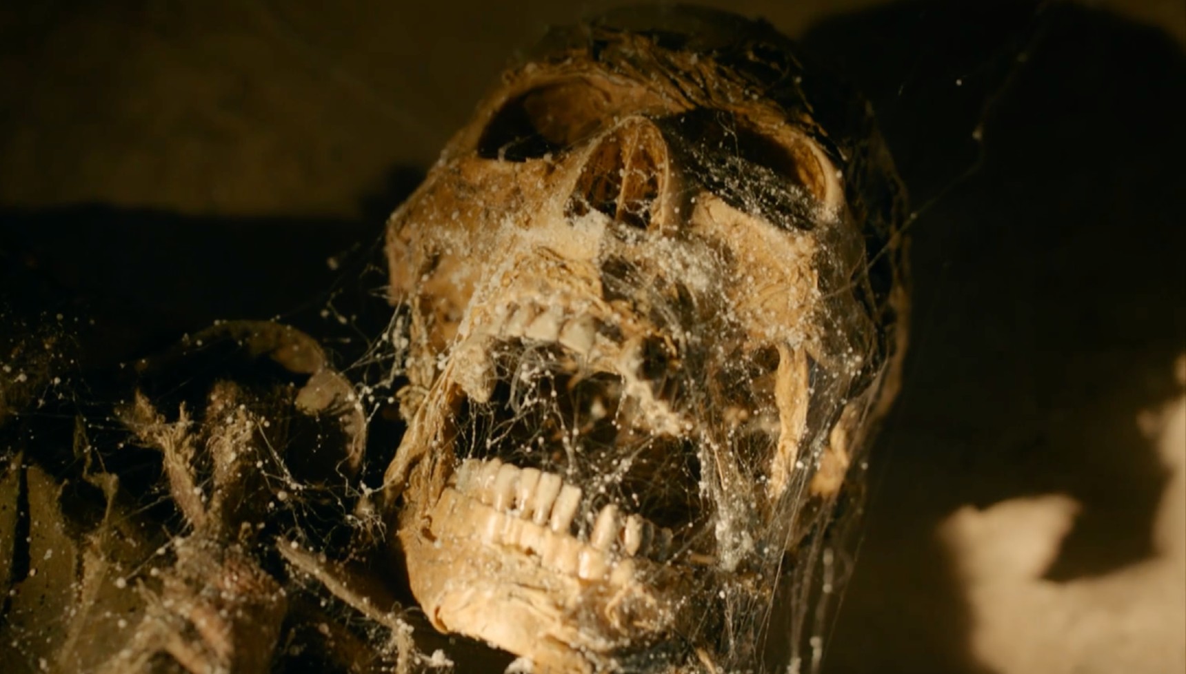 Skull covered in cobwebs on Murder Before Evensong