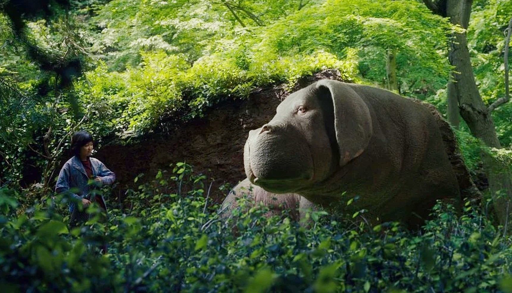 A young girl and a large pig creature in Okja