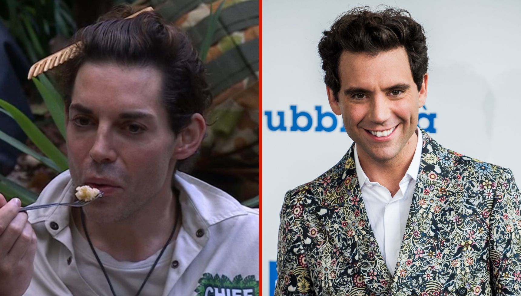 I'm A Celebrity look a likes