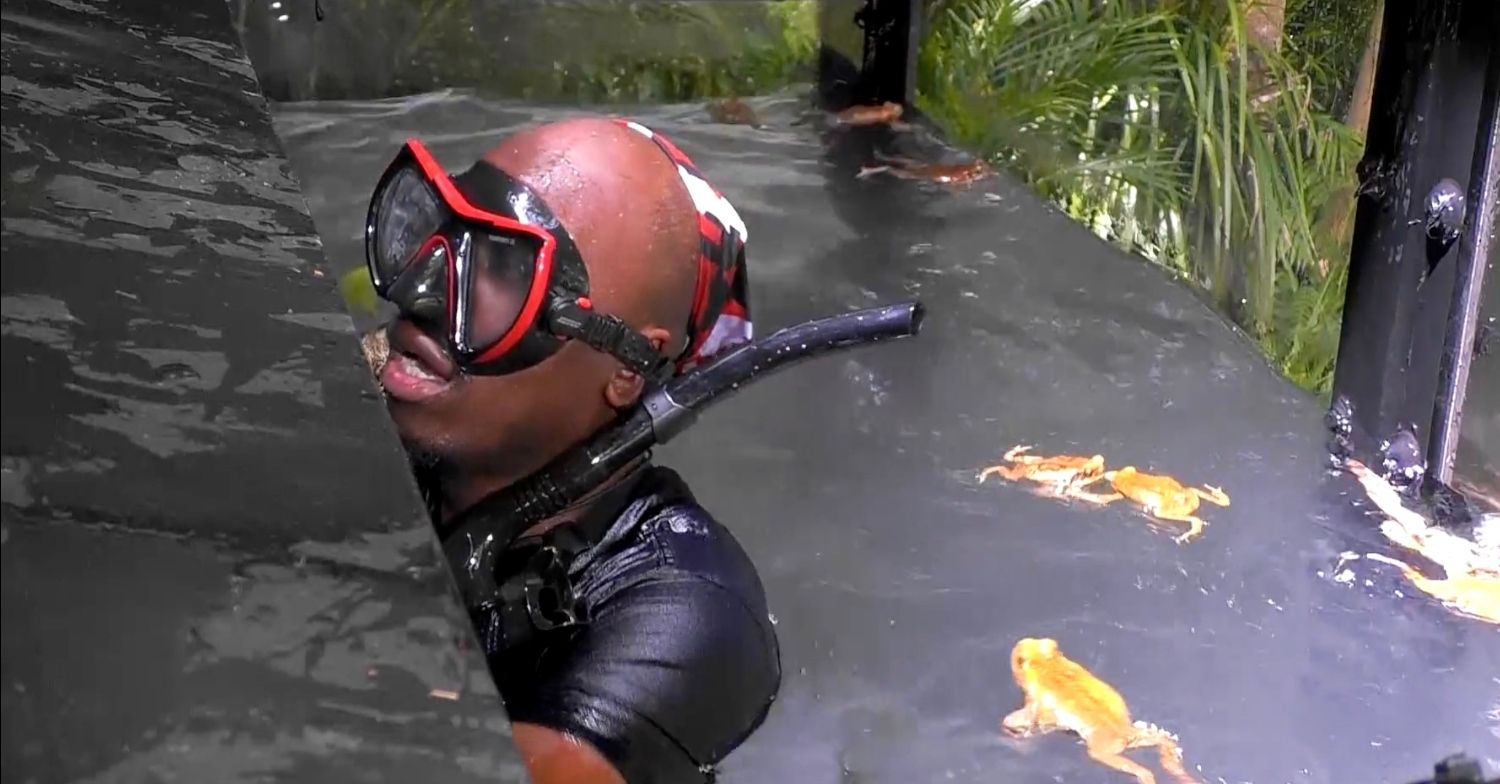 Eddie Kadi on I'm A Celebrity