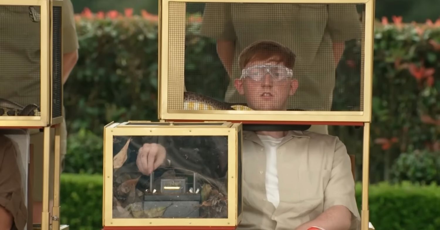 Angry Ginge with his head in a box of snakes