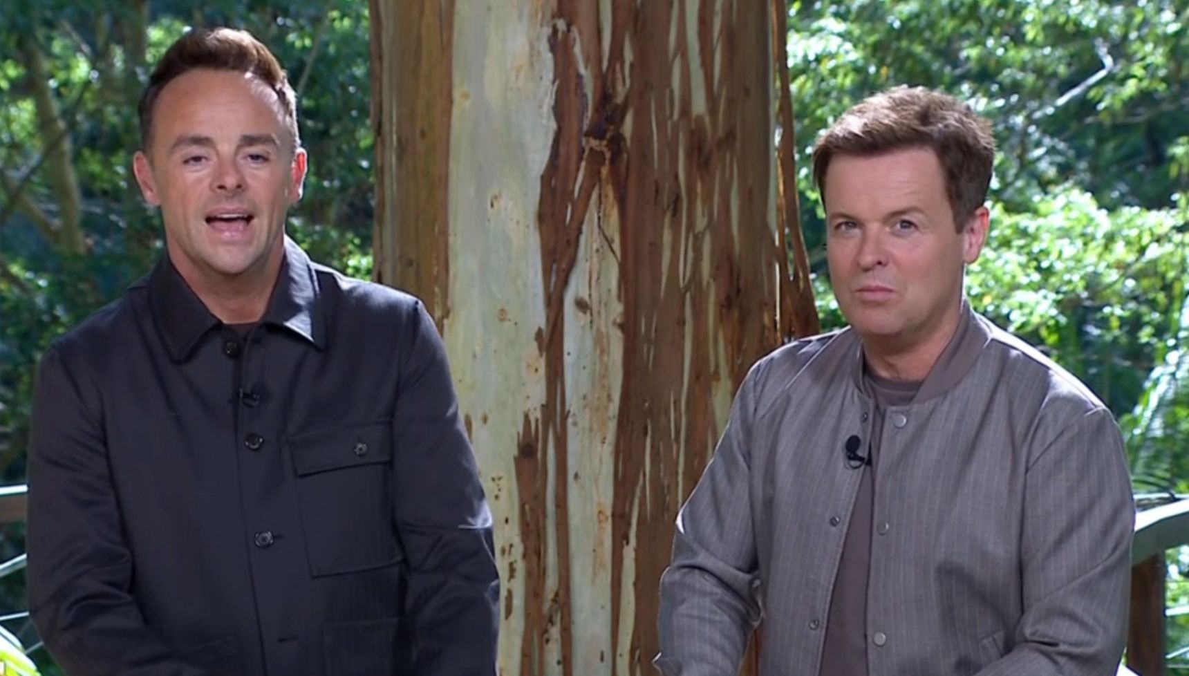 Ant and Dec on I'm A Celebrity