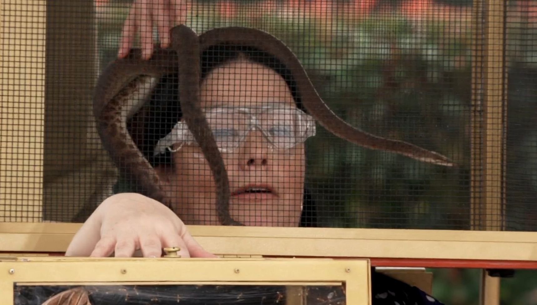 Lisa Riley with snakes on her head