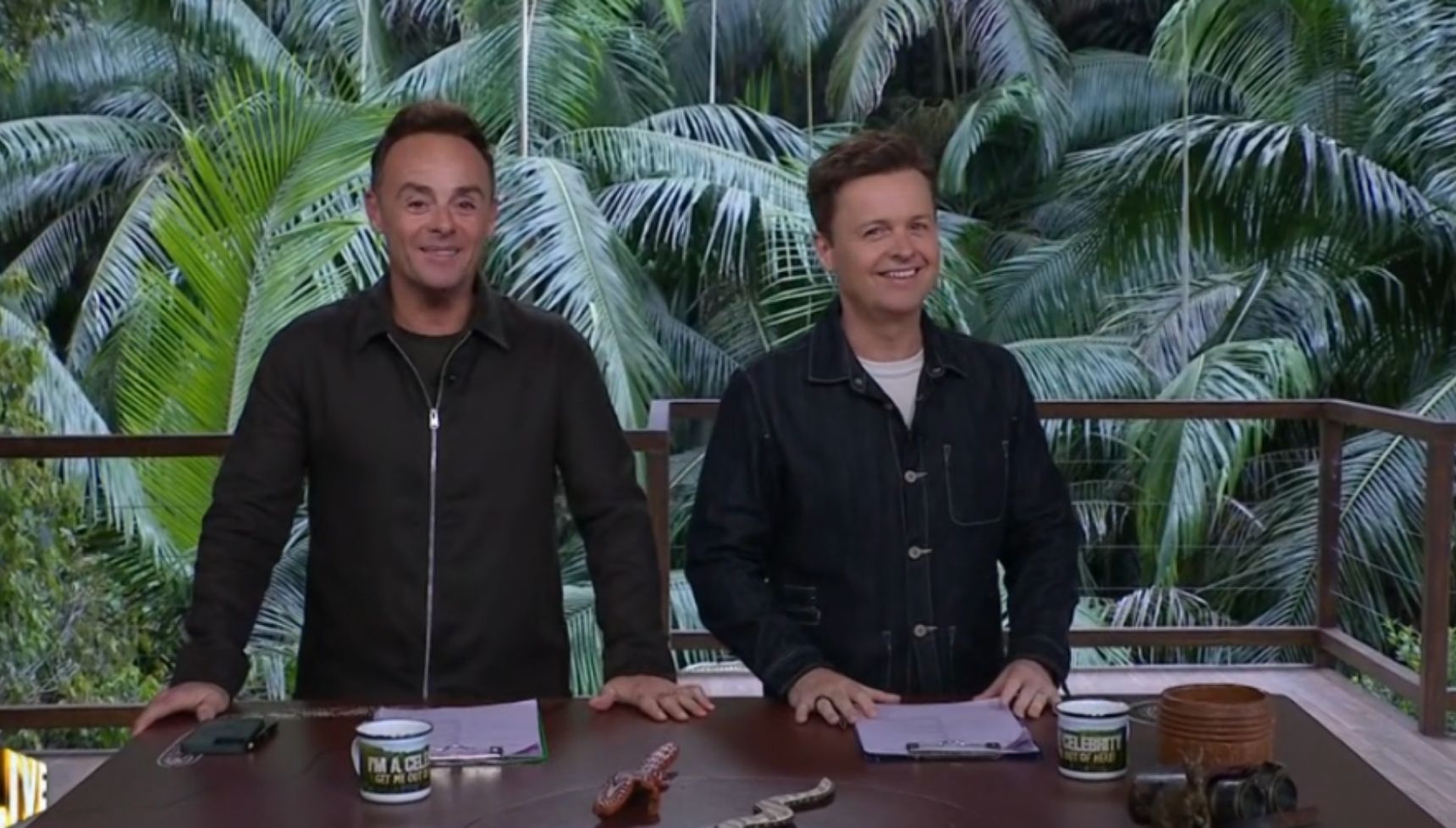 Ant and Dec acknowledge show technical issue