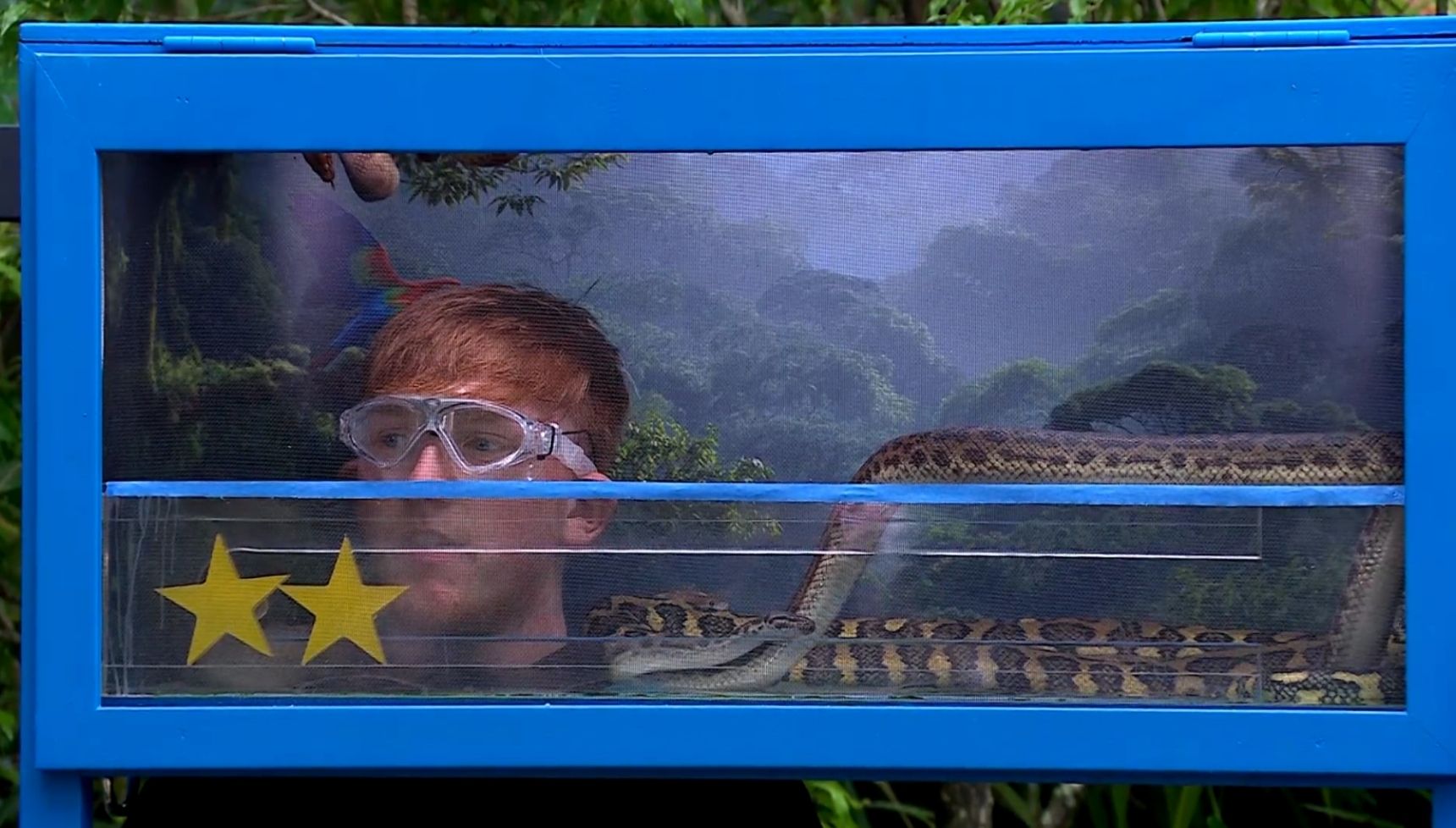 Angry Ginge doing the trial on I'm A Celebrity 