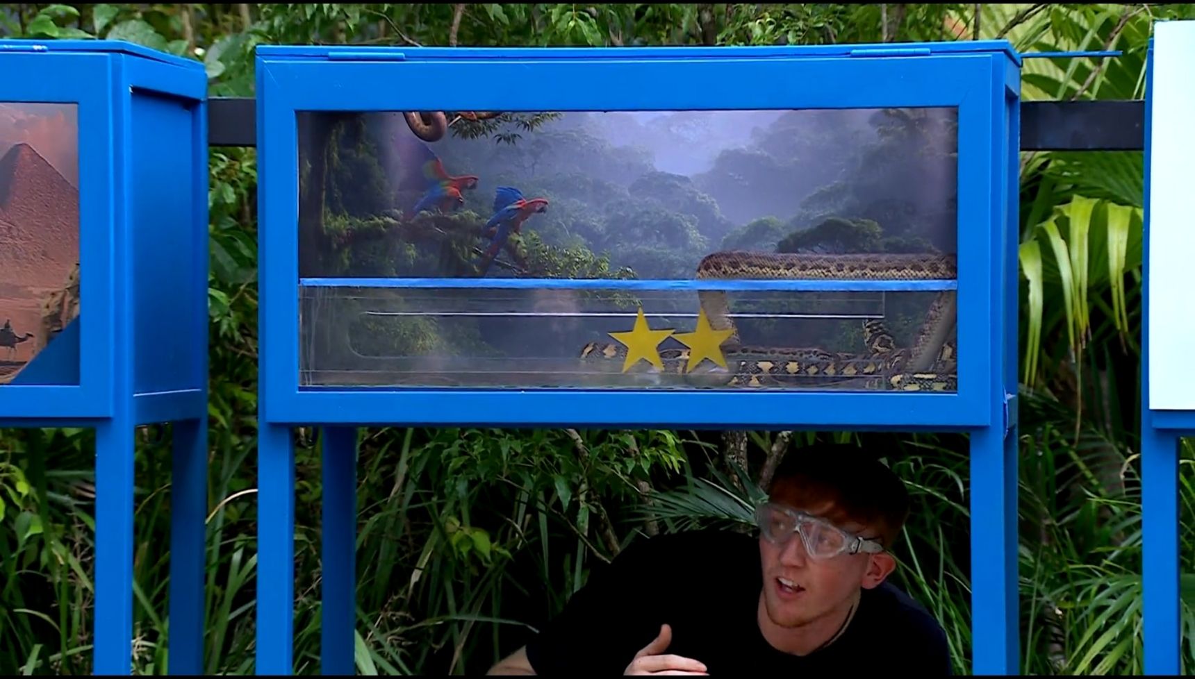 Angry Ginge doing the trial on I'm A Celebrity
