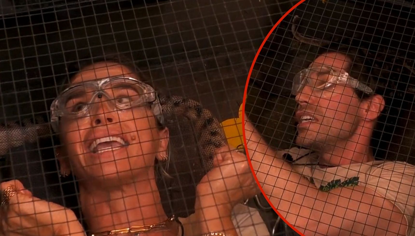 I'm A Celebrity star Vogue Williams screams and Tom Read Wilson sings in first look at terrifying Bushtucker Trial