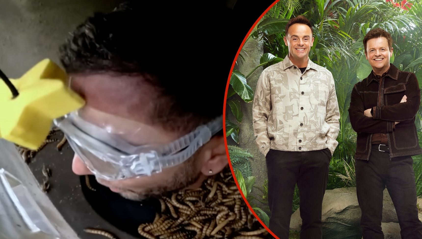 I'm A Celebrity bosses confirm major 'two in a row and then you go' Bushtucker Trial rule change