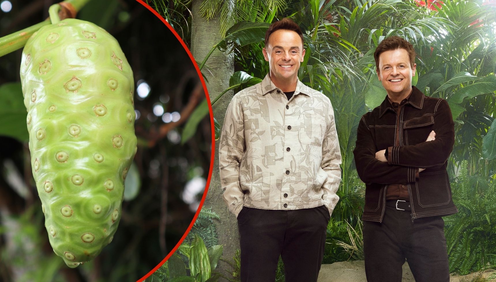 I'm A Celebrity 2025: What is vomit fruit and all the gross things used in Bushtucker Trials