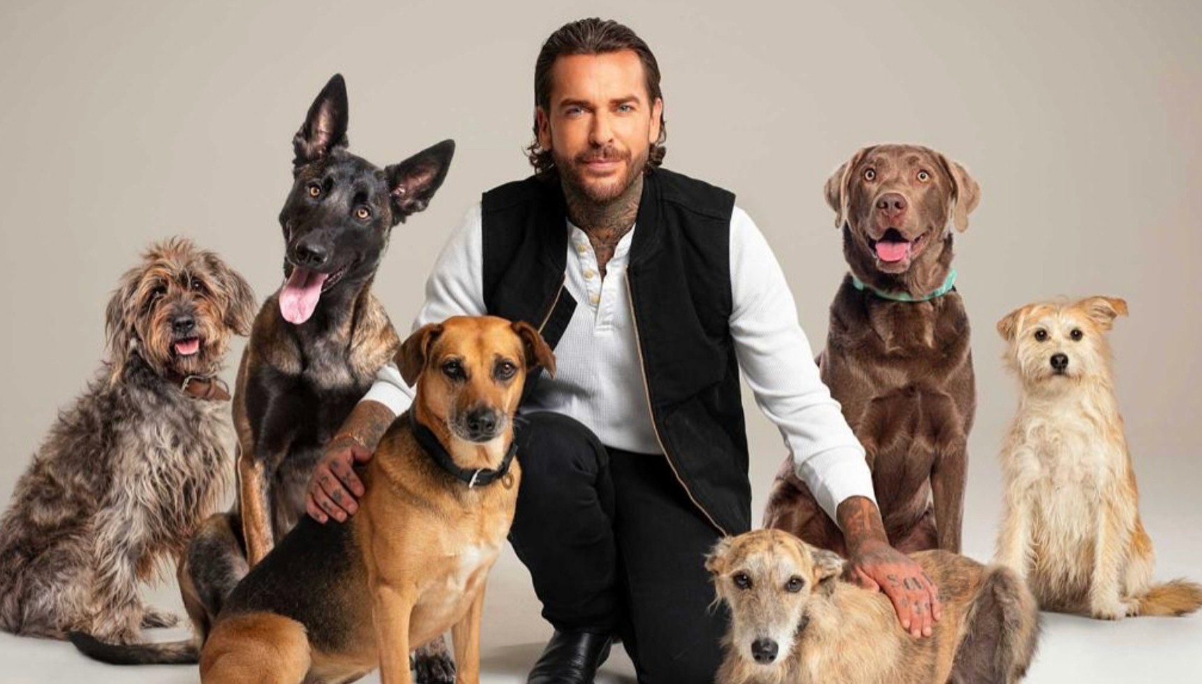 Pete Wicks pictured alongside six dogs