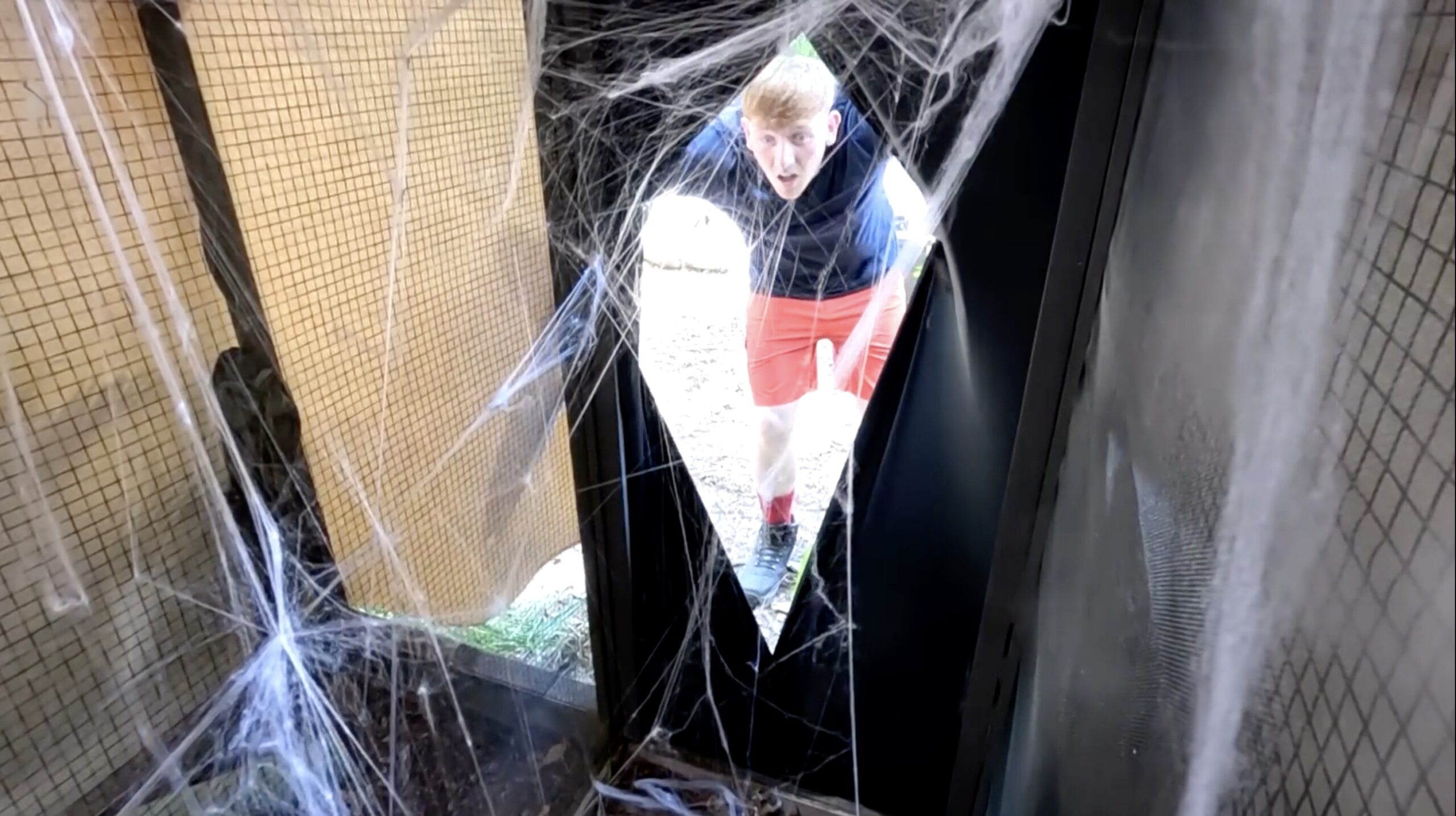 Angry Ginge during Bushtucker Trial