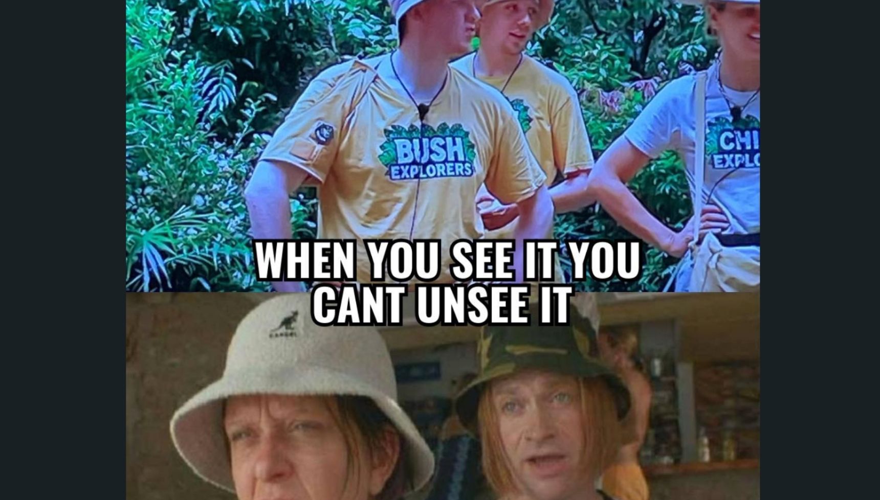 I'm A Celebrity look-a-likes