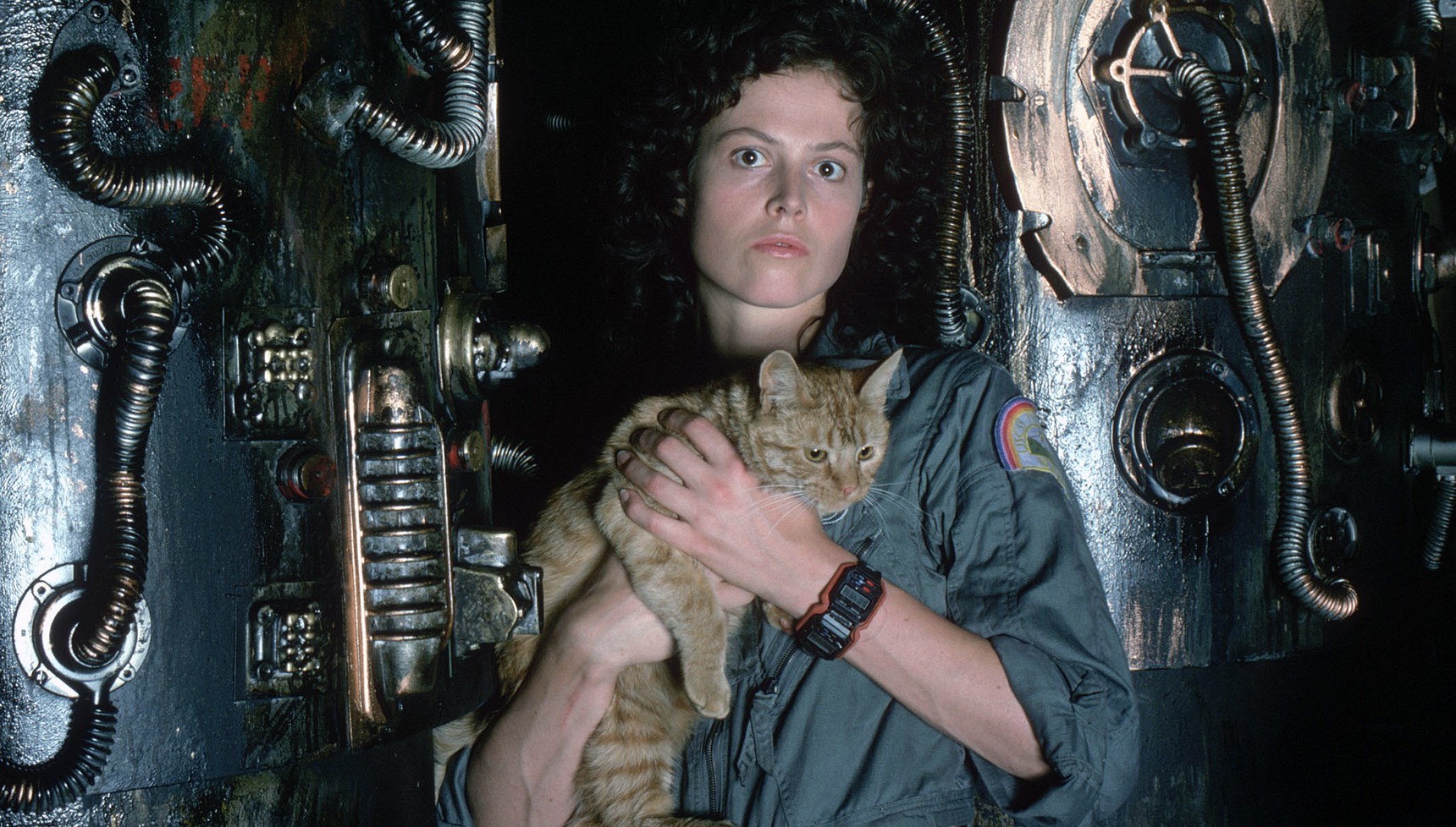 Sigourney Weaver holding a cat in Alien