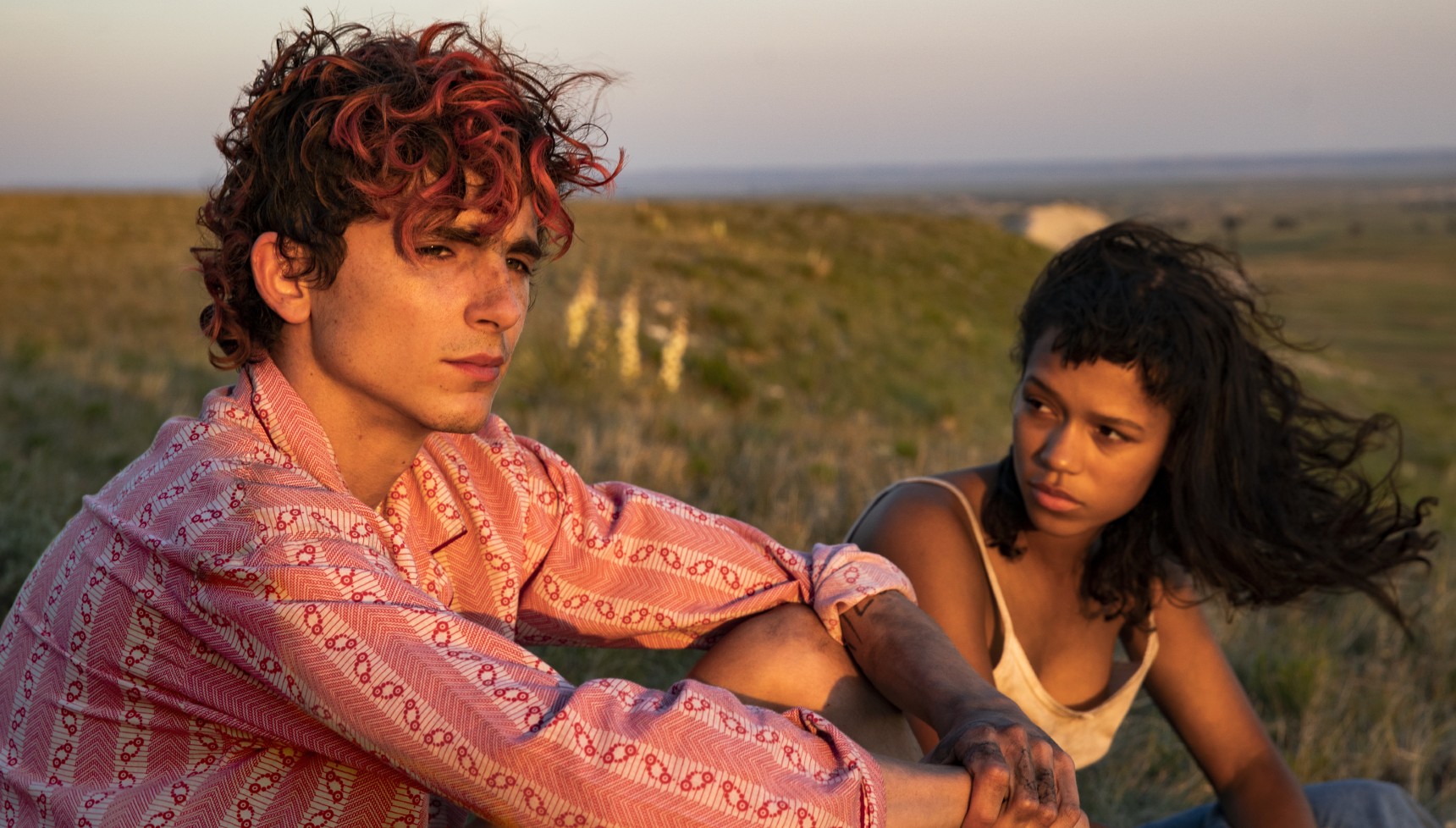 Timothee Chalemet with orange hair sitting next to Taylor Russell in a field in Bones and All