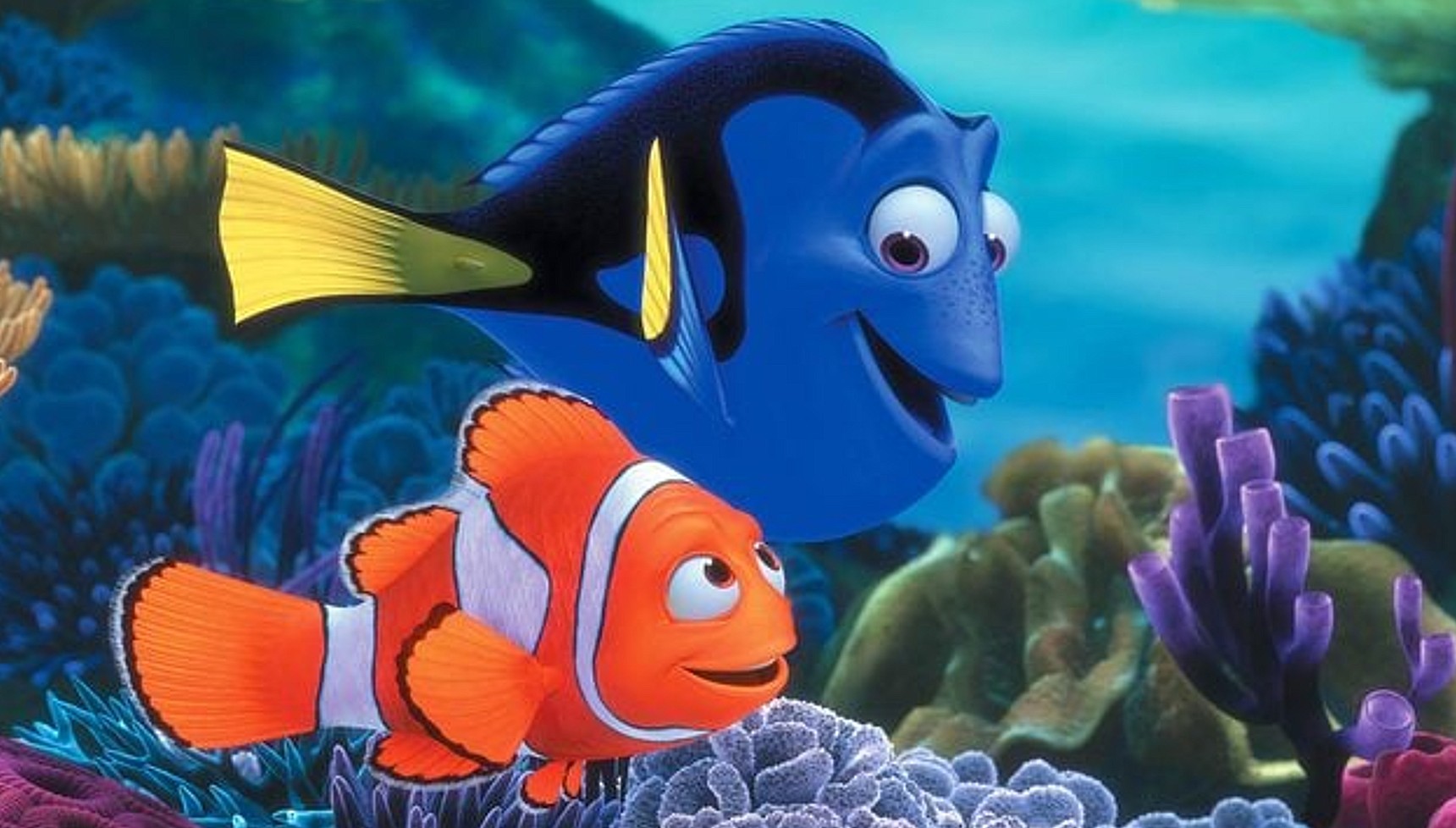 Marlin and Dory swimming together in Finding Nemo