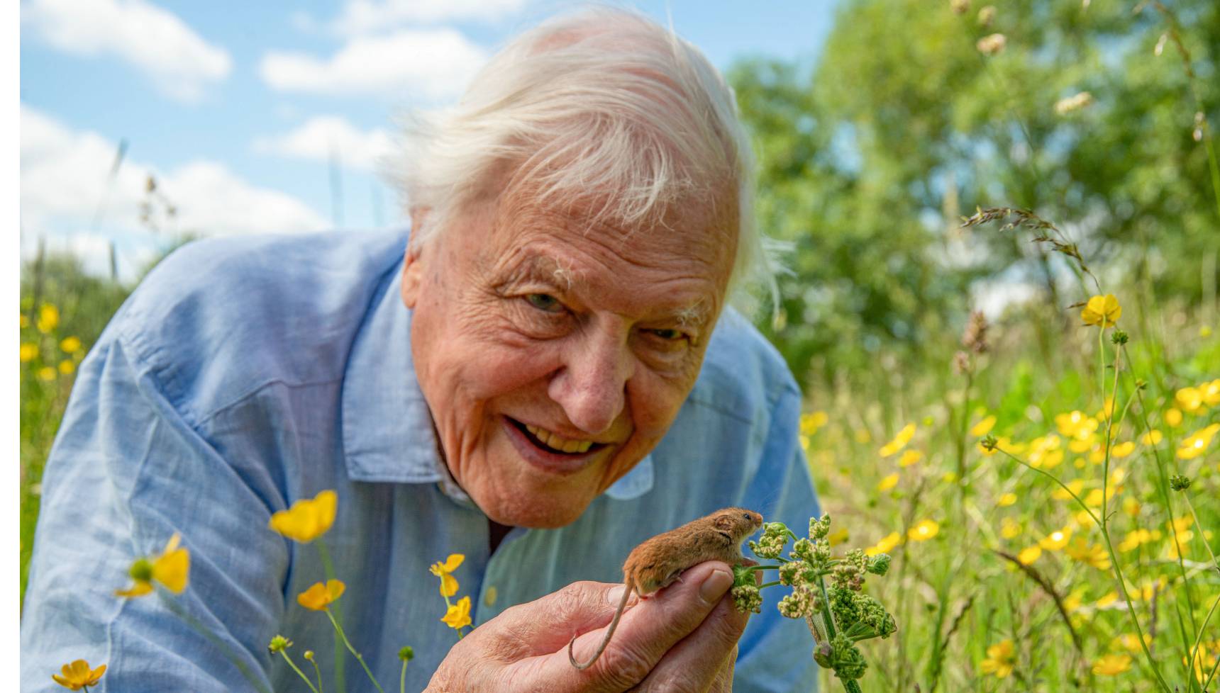 David Attenborough with a harvest mouse in Wild London