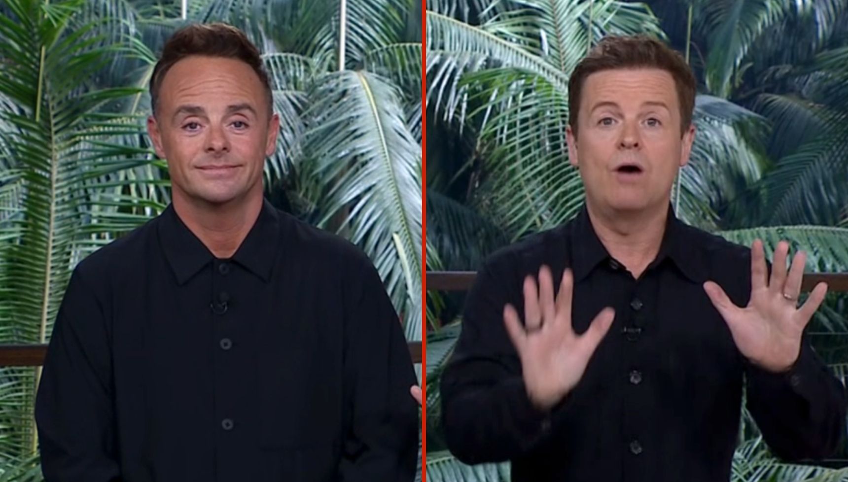 I'm A Celebrity hosts Ant and Dec distract viewers with their outfit choice for tonight's final