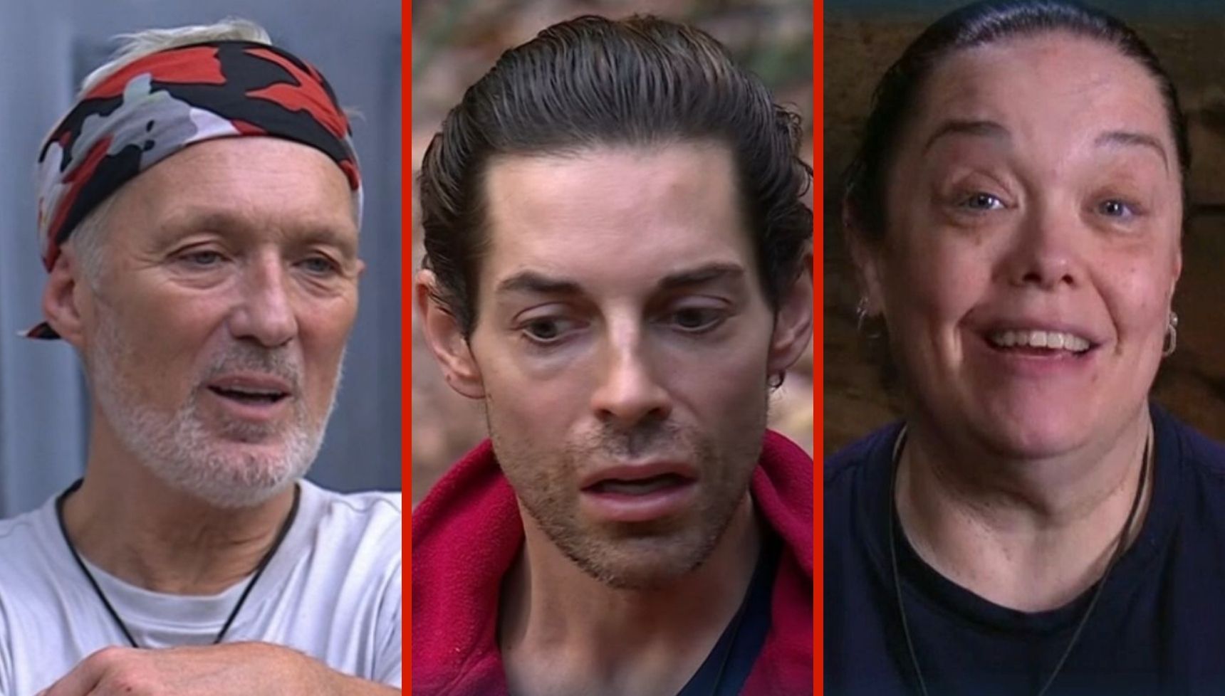 I'm A Celebrity 2025: All the clues on who the other vegetarian may be in camp