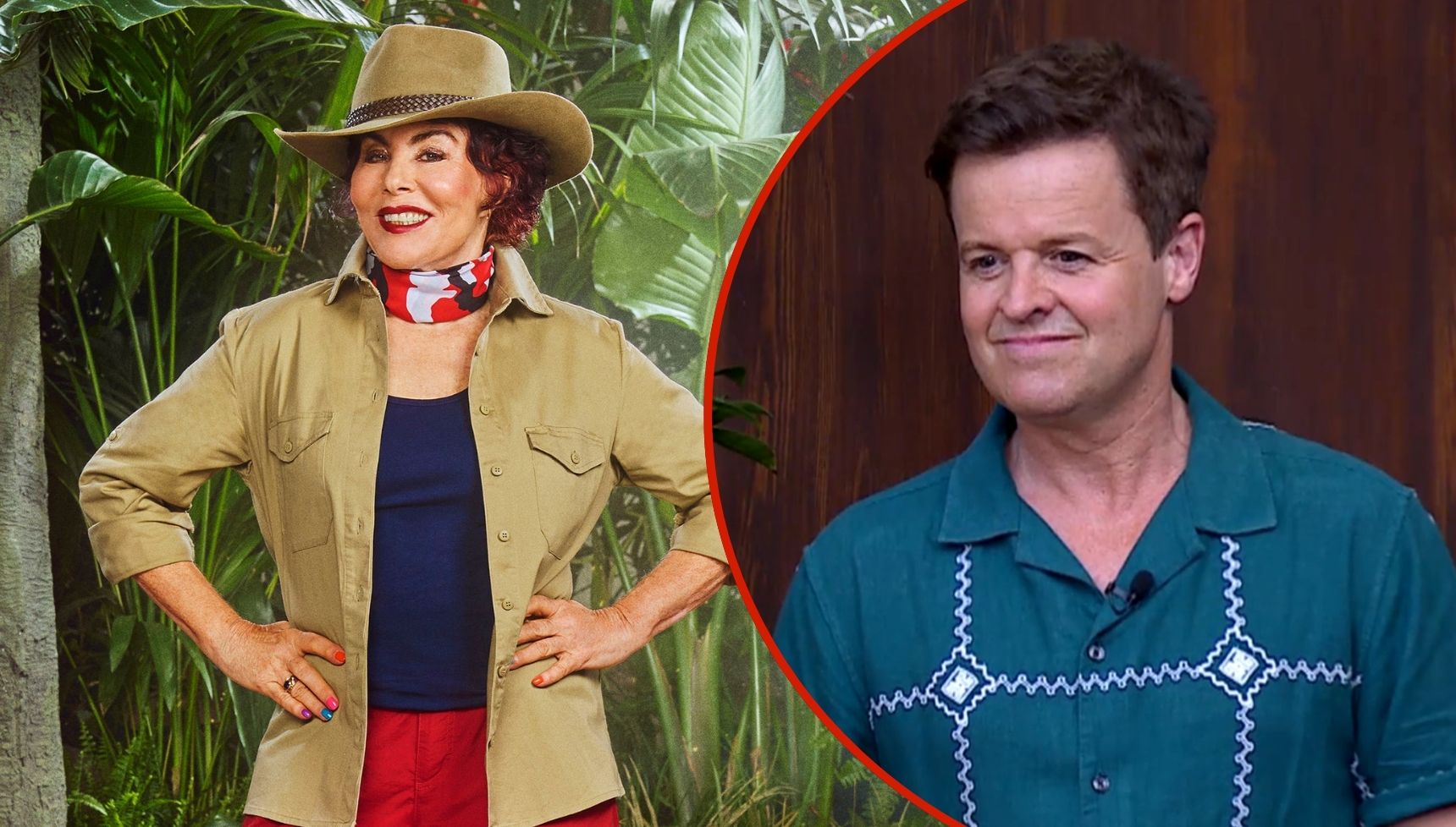 I'm A Celebrity's Declan Donnelly drops huge hint that Ruby Wax could be returning to the jungle in a surprise comeback
