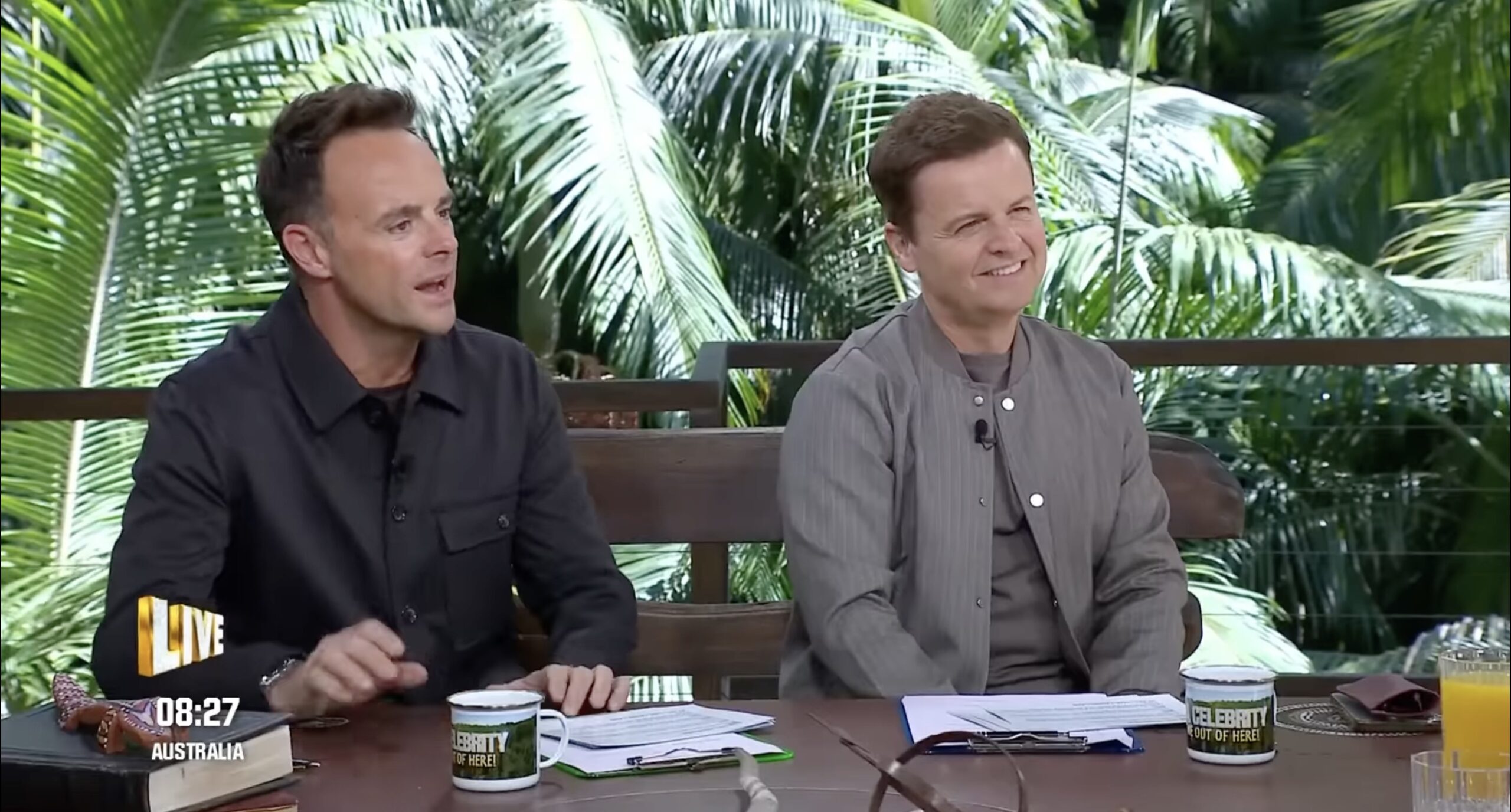 Ant and Dec on I'm A Celebrity