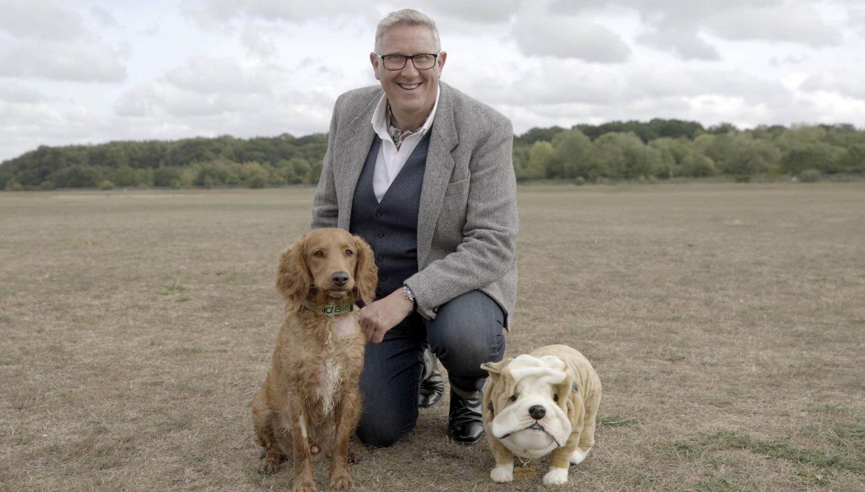Dogs behaving very badly