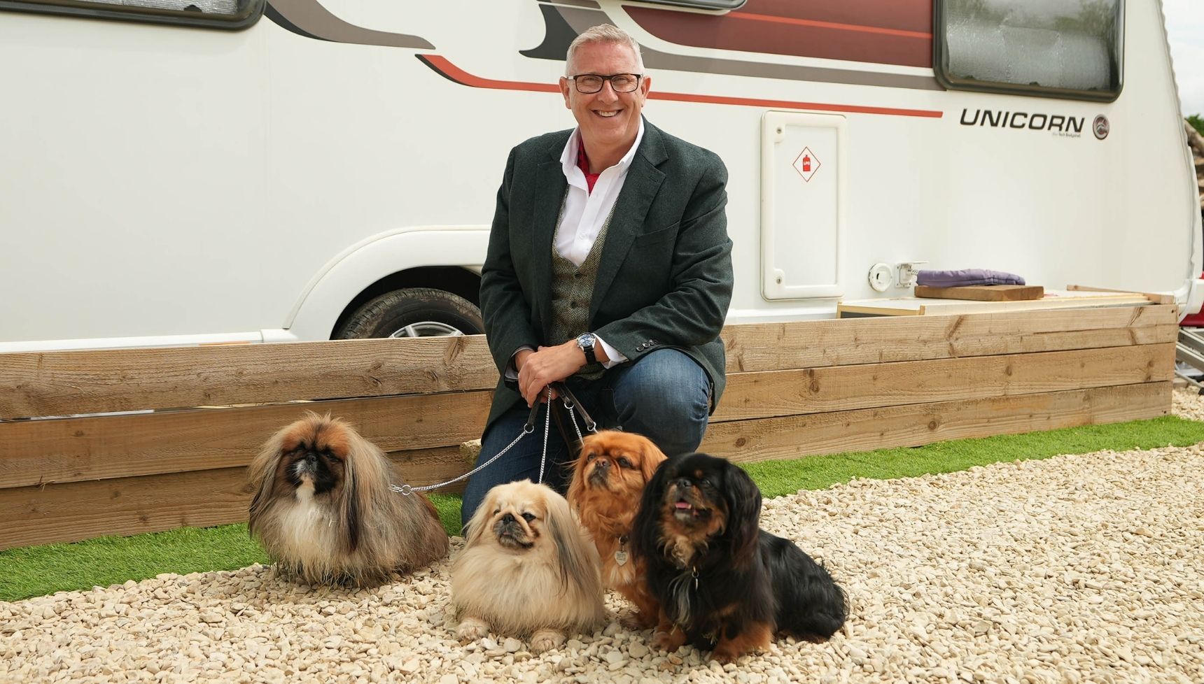 Dogs behaving very badly