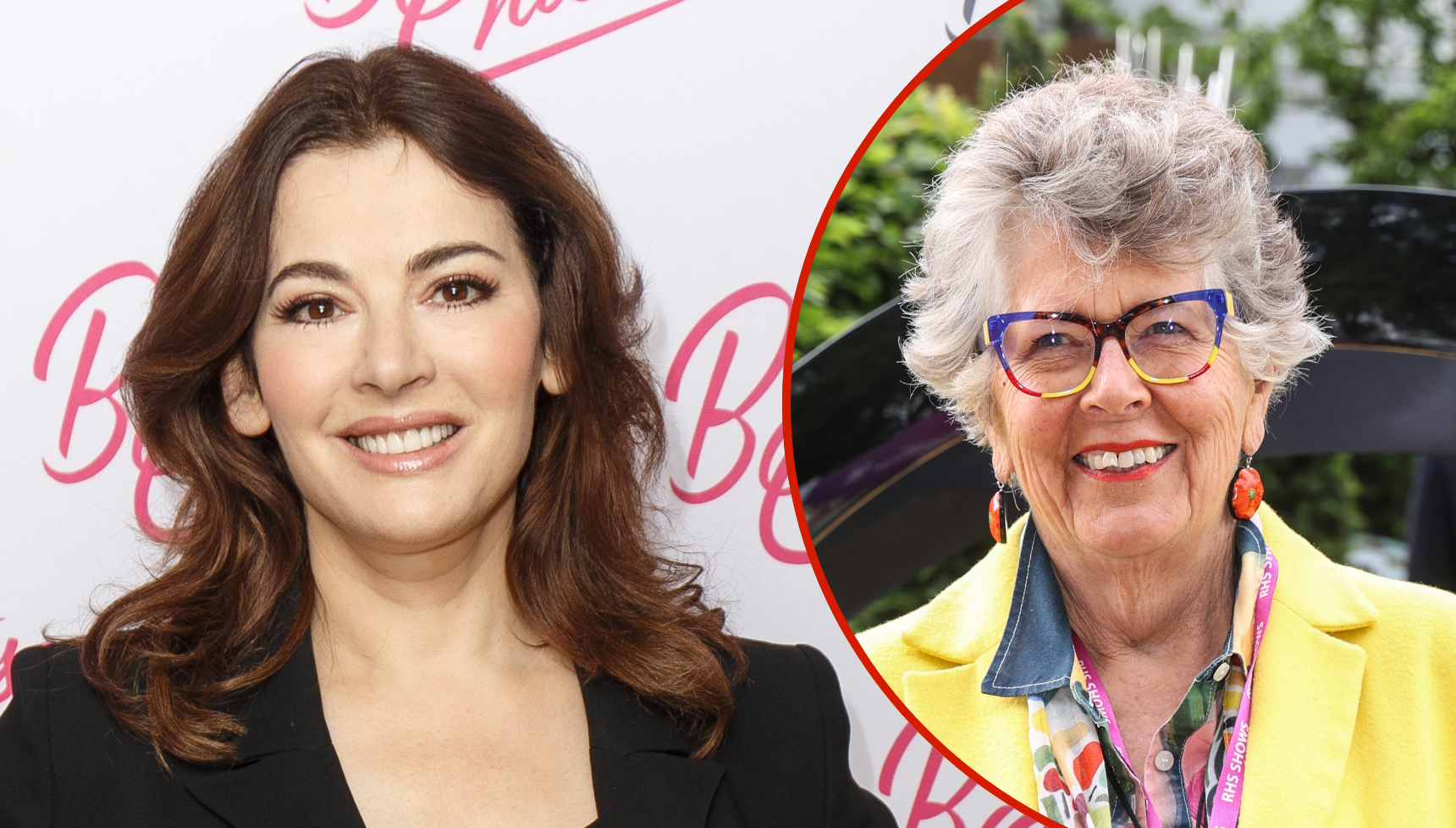 Nigella Lawson might be the worst thing that ever happens to Bake Off, by her own admission