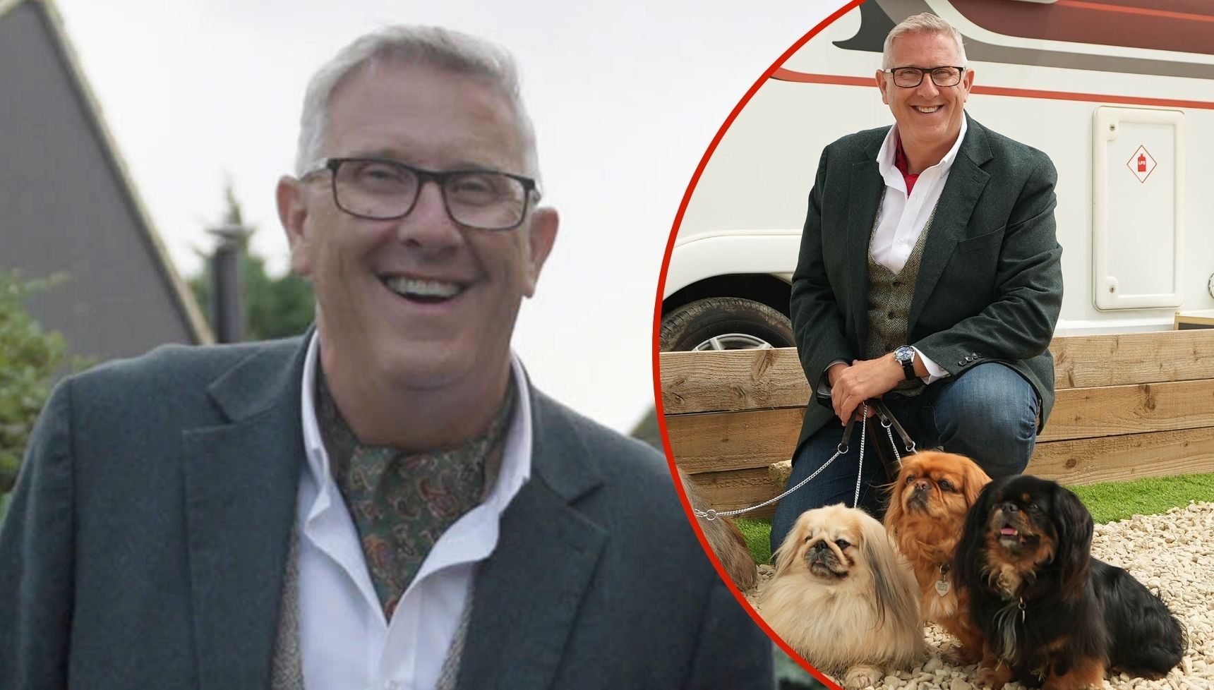 Dogs Behaving (Very) Badly's Graeme Hall: From boardroom to TV dog trainer and almost losing a hand in the process