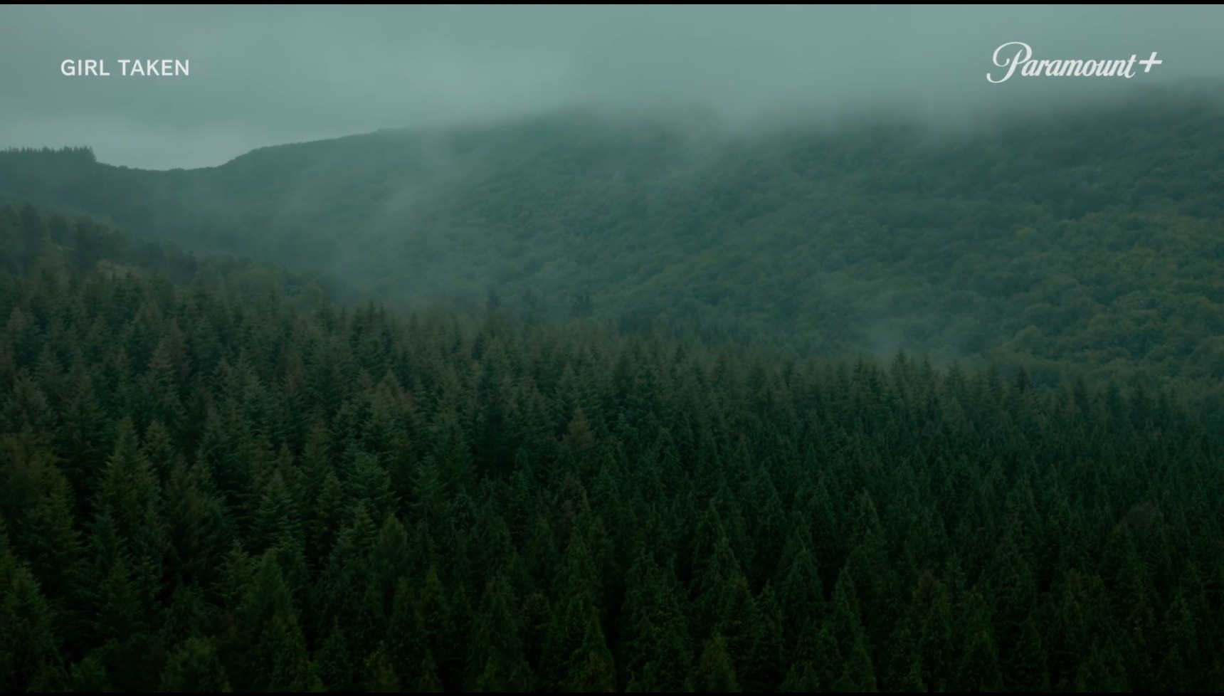 The stunning forests in San Sebastian