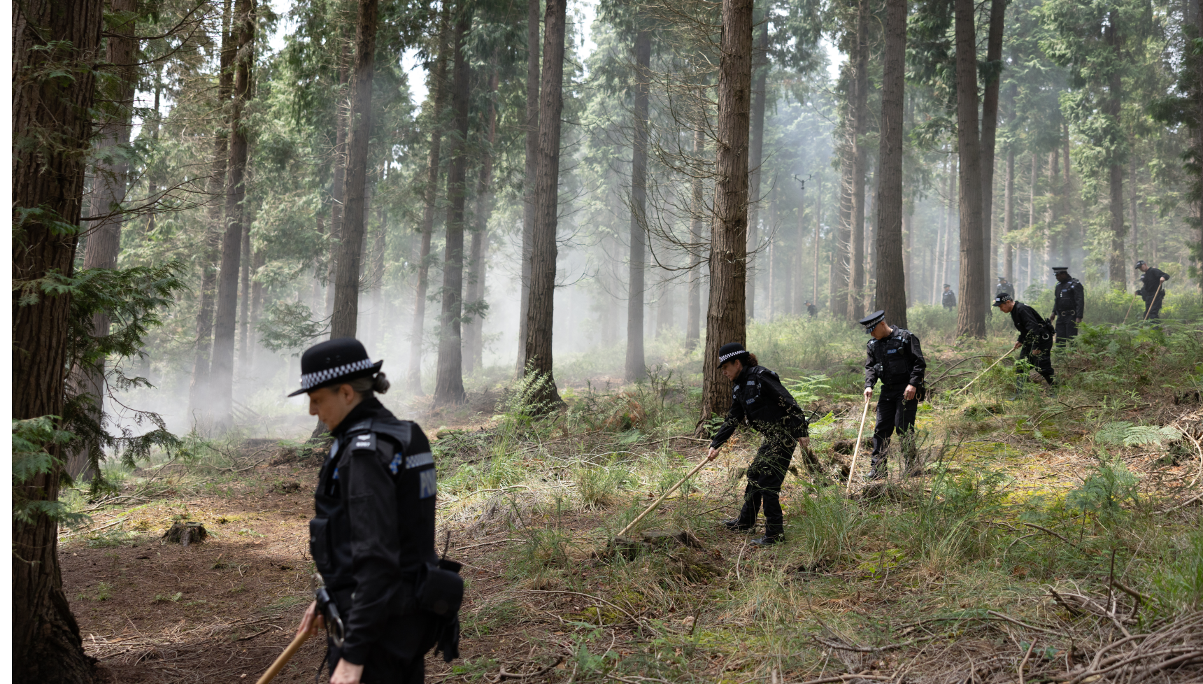 Woods featured in Girl Taken