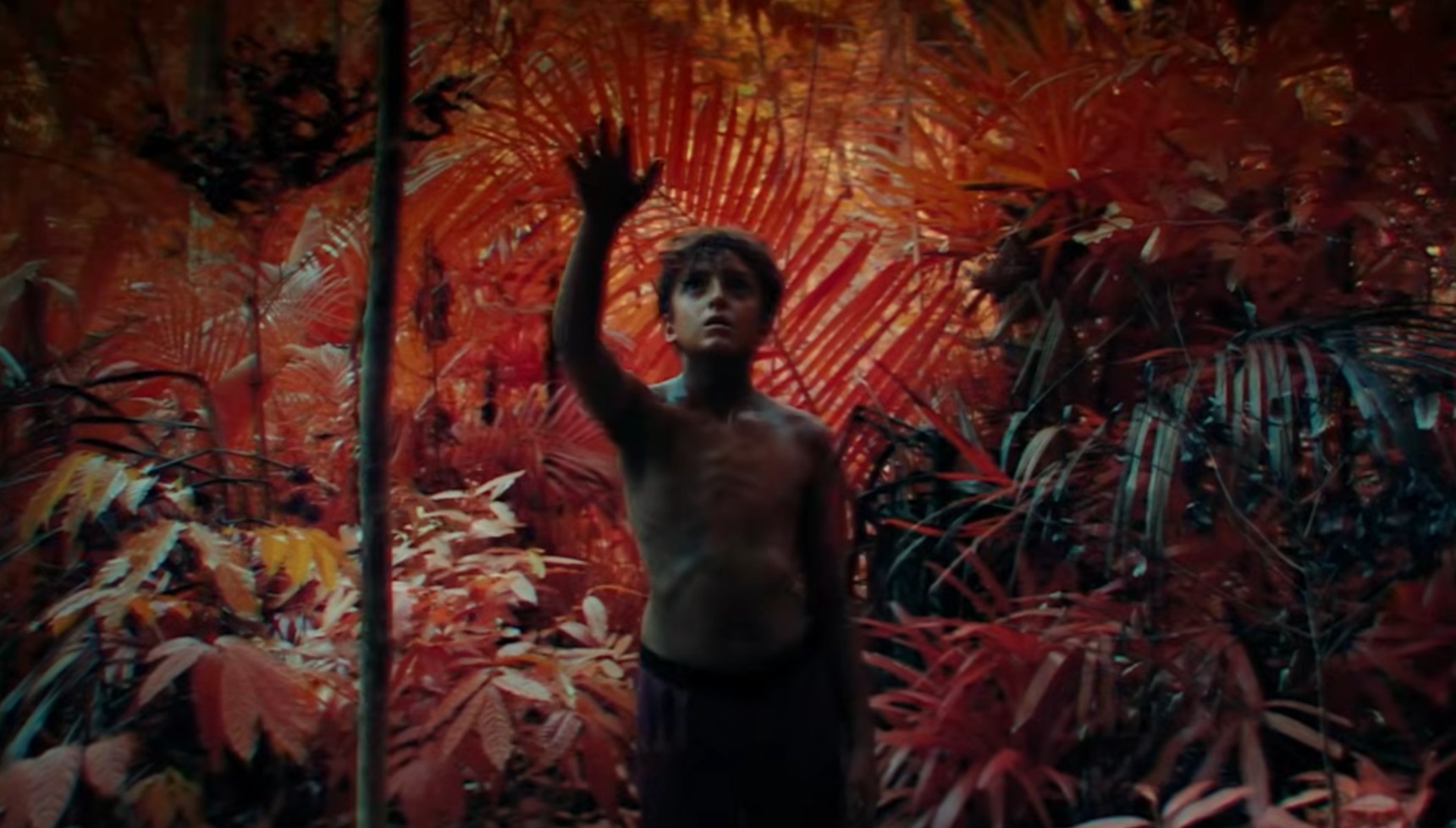 Simon in the woods in Lord of the Flies