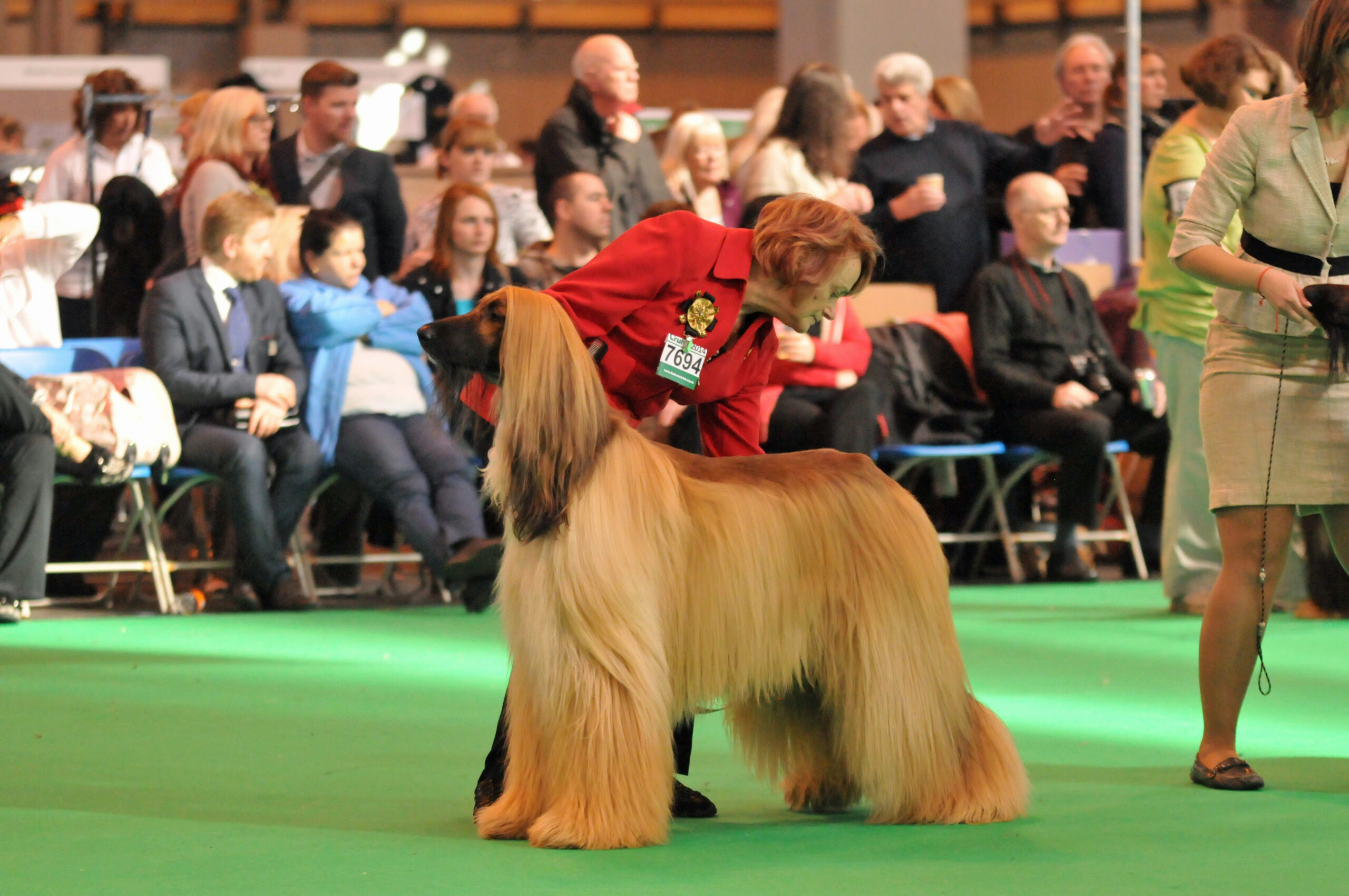 Crufts dog show which starts today