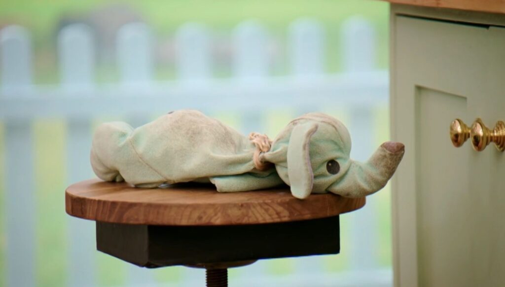 Molly-Mae's teddy on Celebrity Bake off