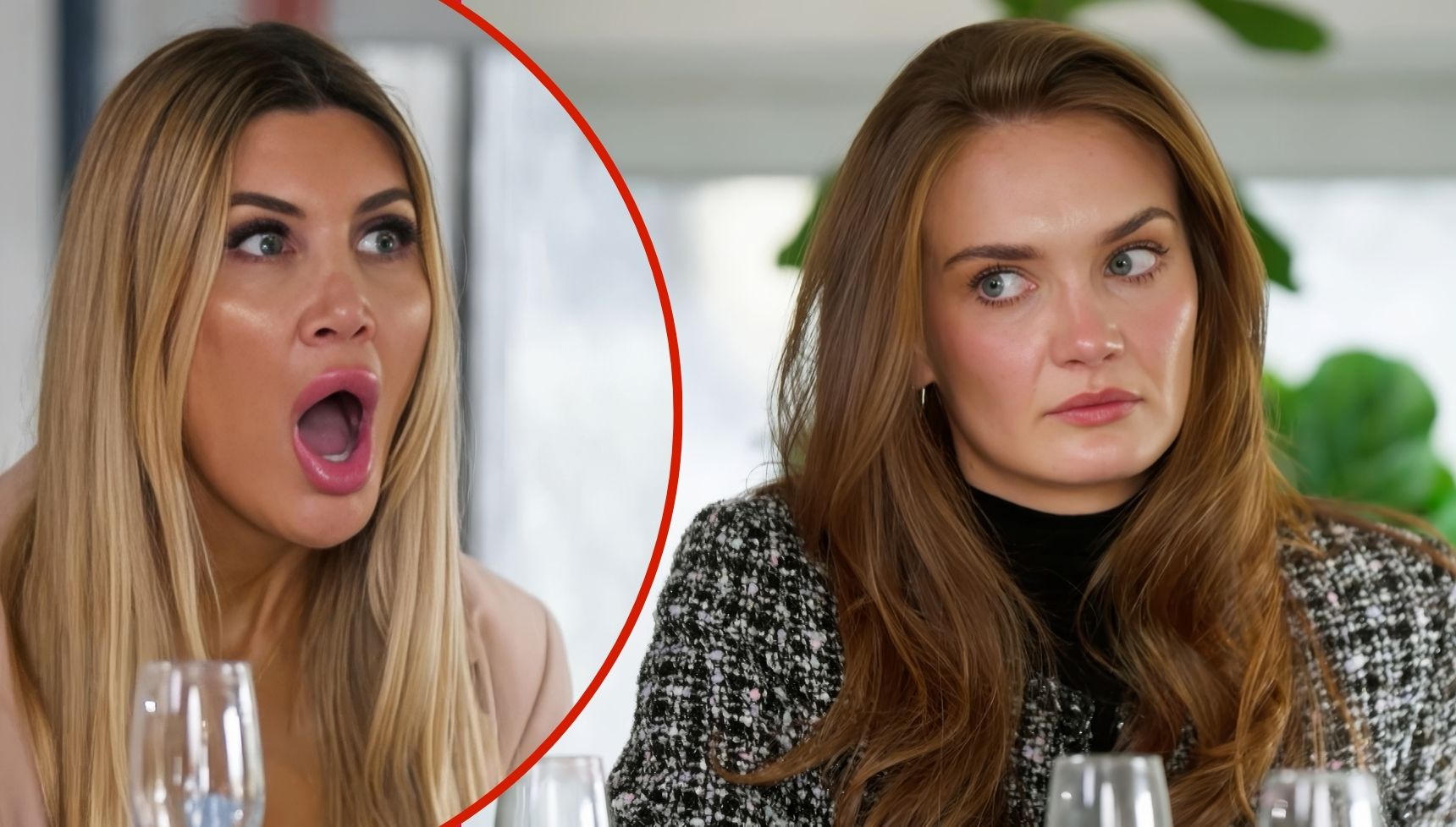 Future of MAFS Australia confirmed as fans beg for it to end following ‘disgusting scenes’