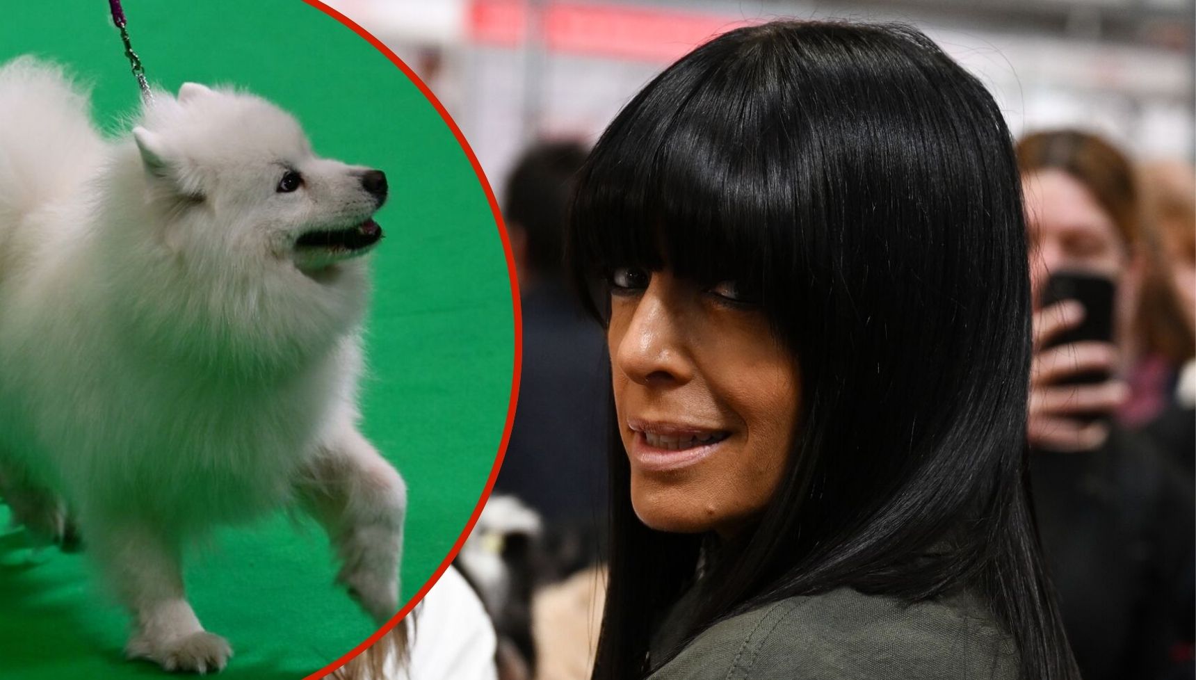 Barking up the wrong tree? Crufts 2026 host Claudia Winkleman divides Channel 4 viewers as she makes presenting debut