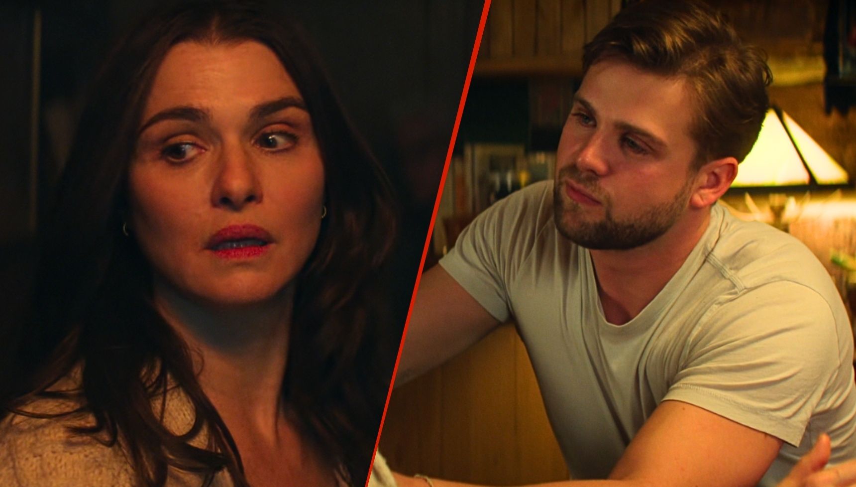 Vladimir ending explained: If the fire was real and the Netflix series' huge changes from the book