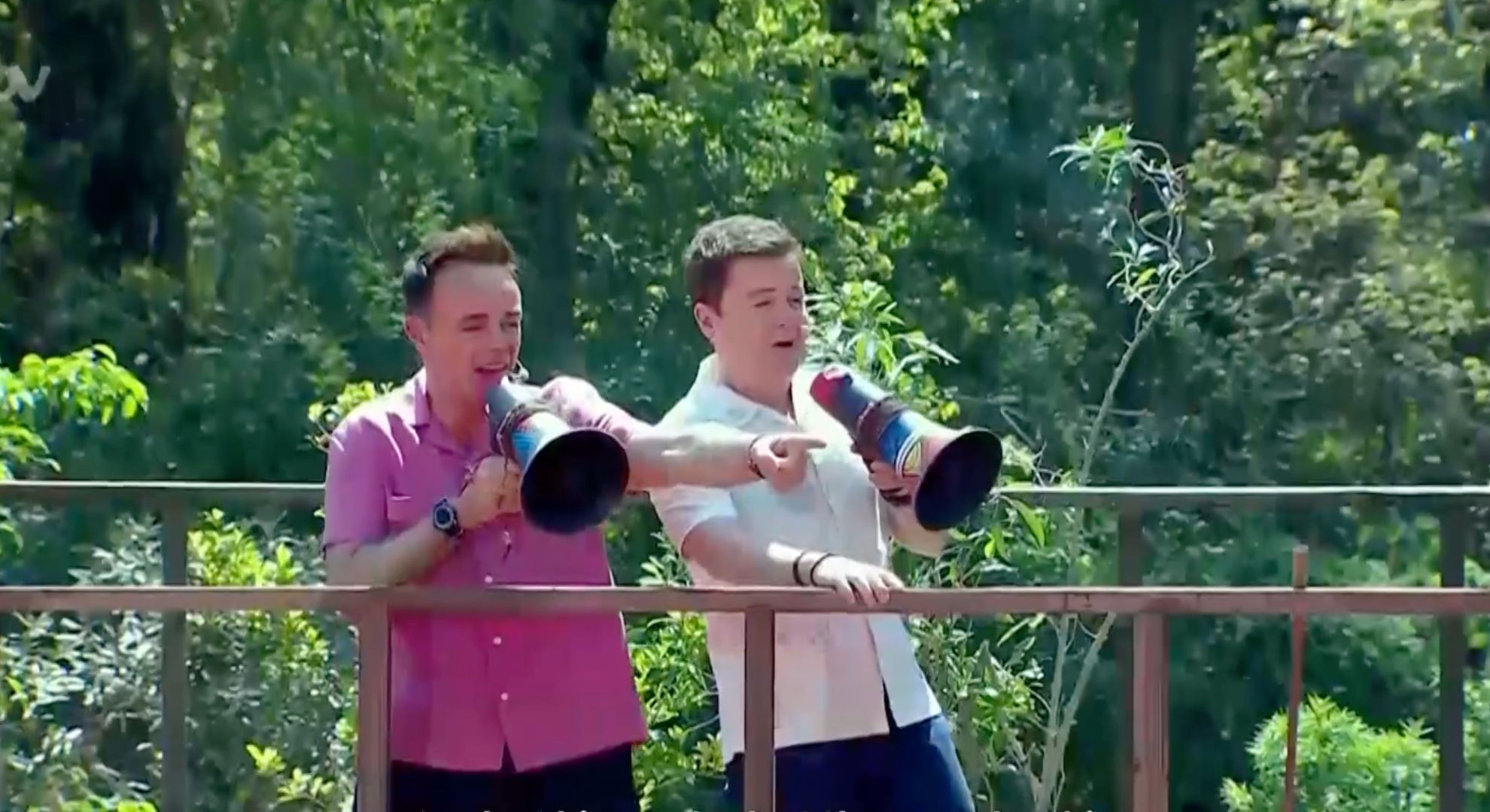Ant and Dec on I'm A Celebrity