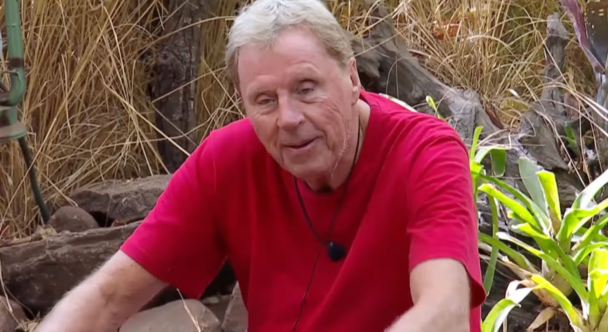 Harry Redknapp on I'm A Celebrity