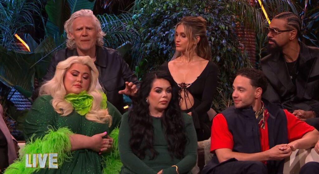 I'm A Celebrity cast during the final