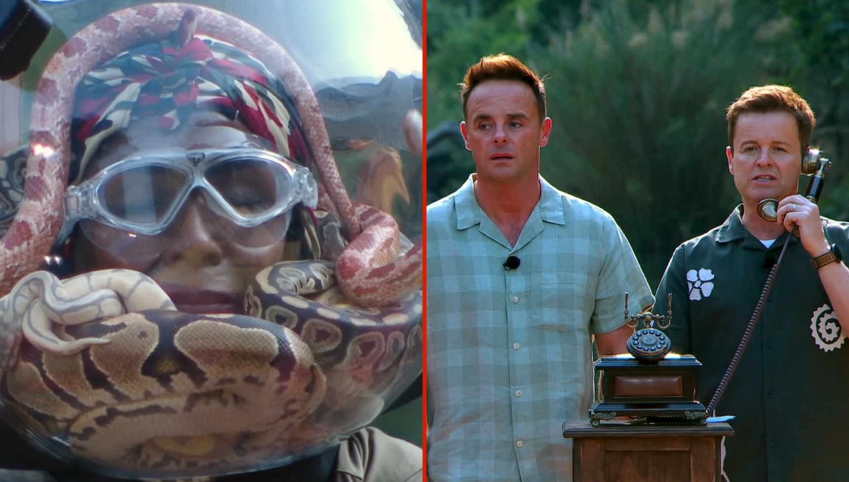 I’m A Celebrity South Africa viewers furious as ITV refuses to listen to wave of complaints: 'Those poor snakes!'