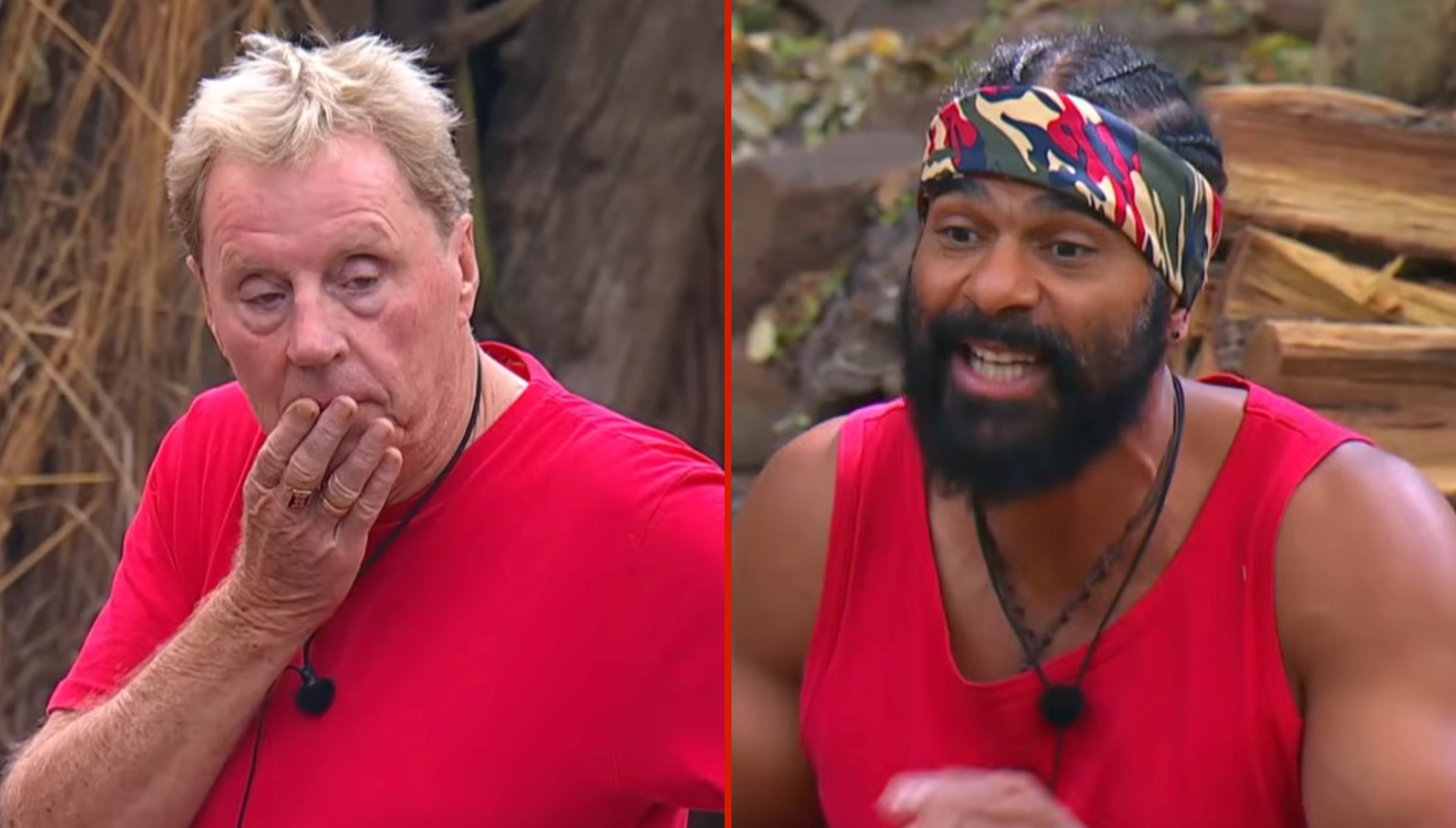 I’m A Celebrity fans work out real reason Harry Redknapp didn’t eliminate ‘vile’ David Haye