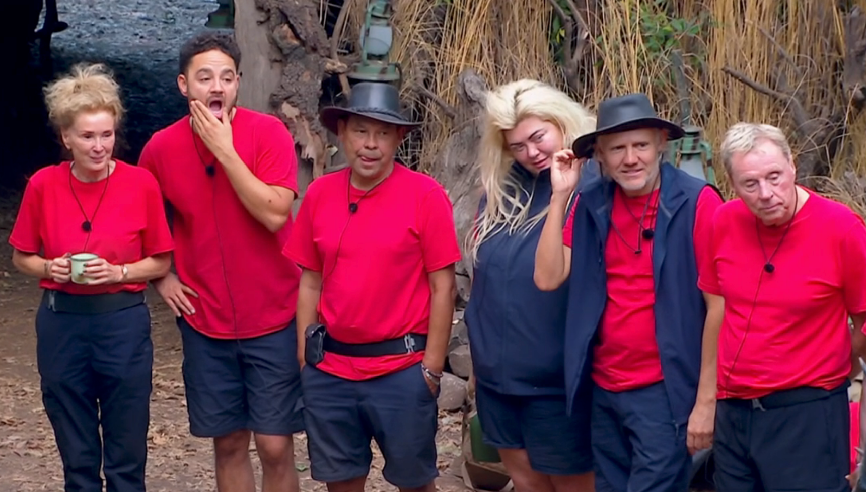 I'm A Celebrity