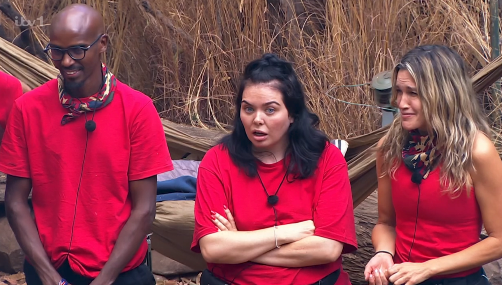 I'm A Celebrity