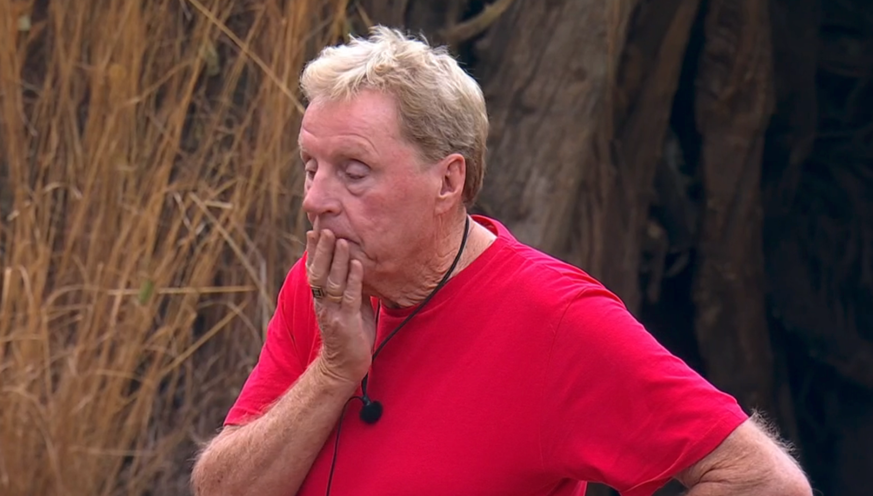 I'm A Celebrity