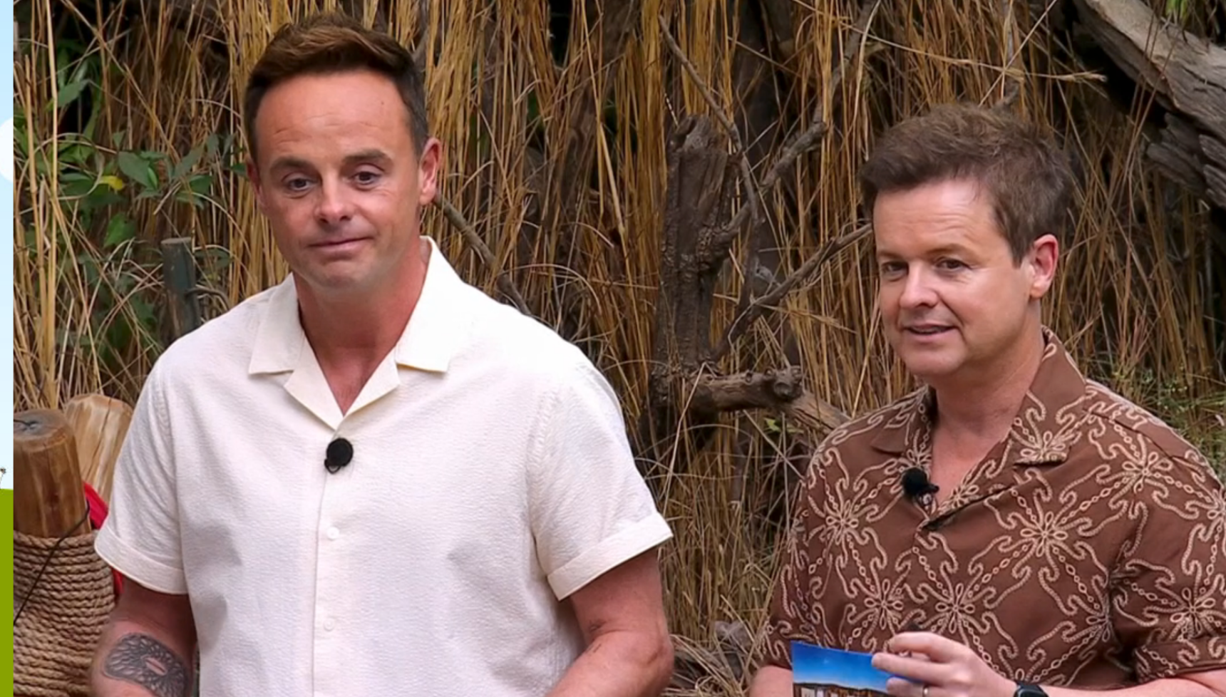 Ant and Dec on I'm A Celebrity