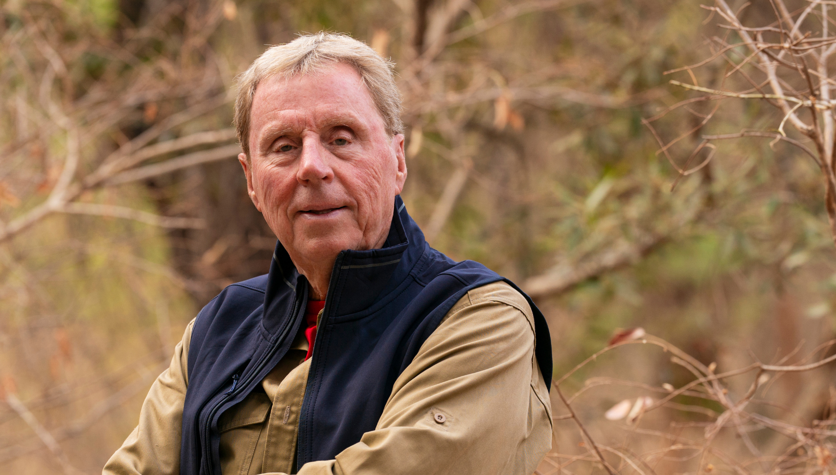 Harry Redknapp on I'm A Celebrity